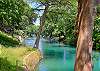 Direct Comal River Access! 