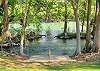 Guadalupe River Access! 