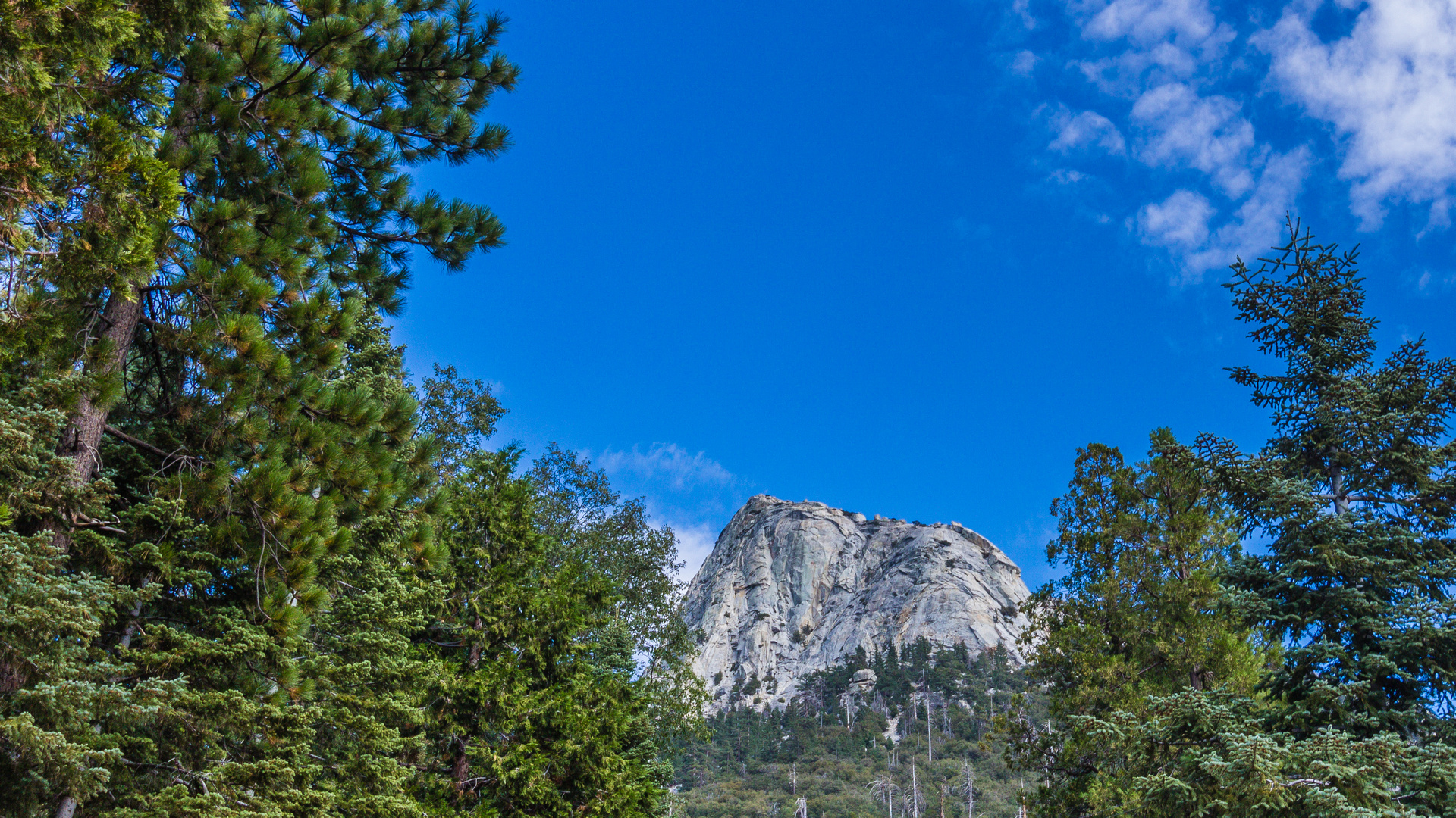 Views of lily rock from the home.-Original