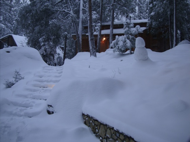 Front view with snow in the heart of winter-Original