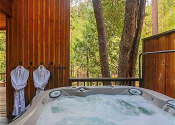 Spa with forest views.