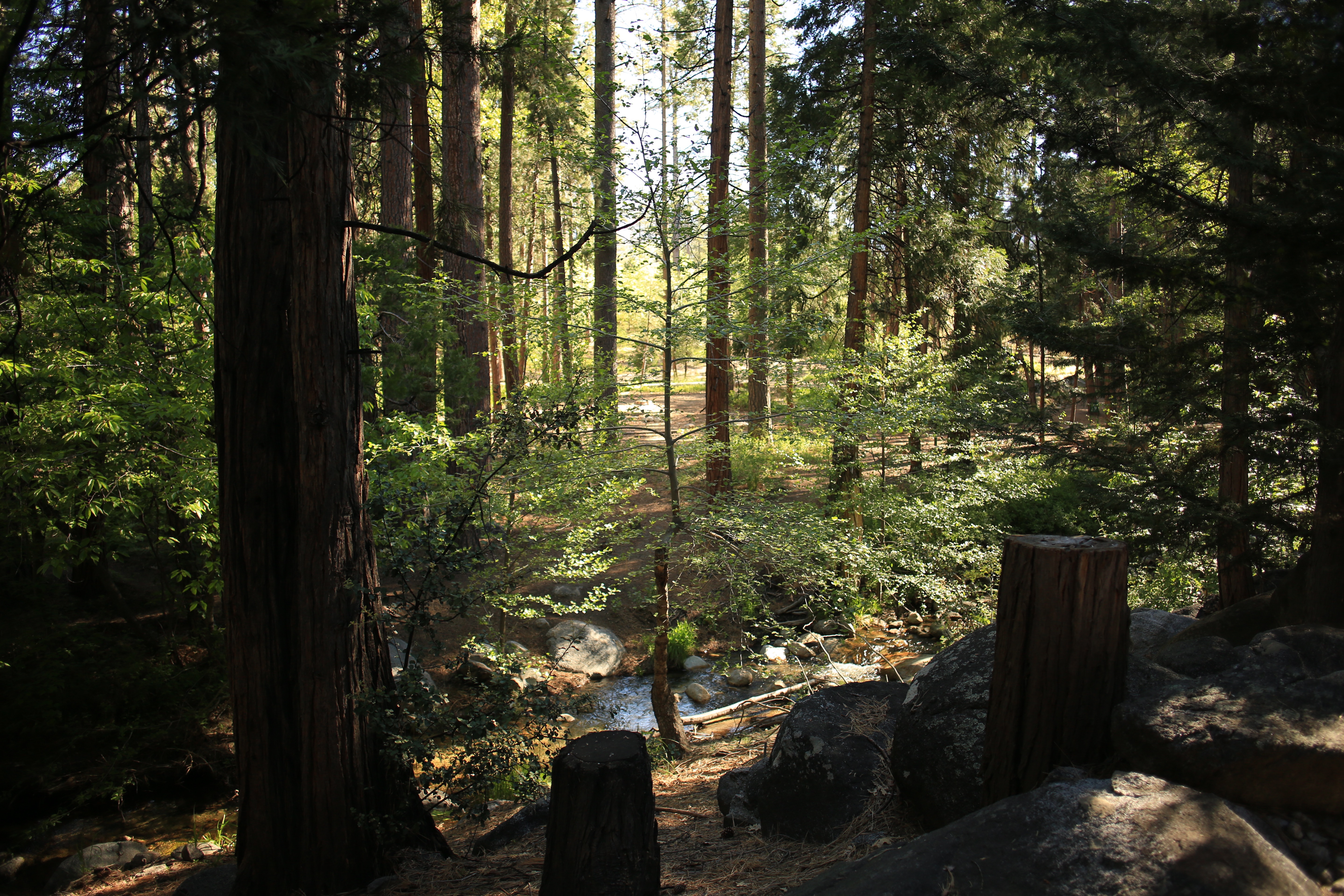 Creek only steps away from the deck!-Original