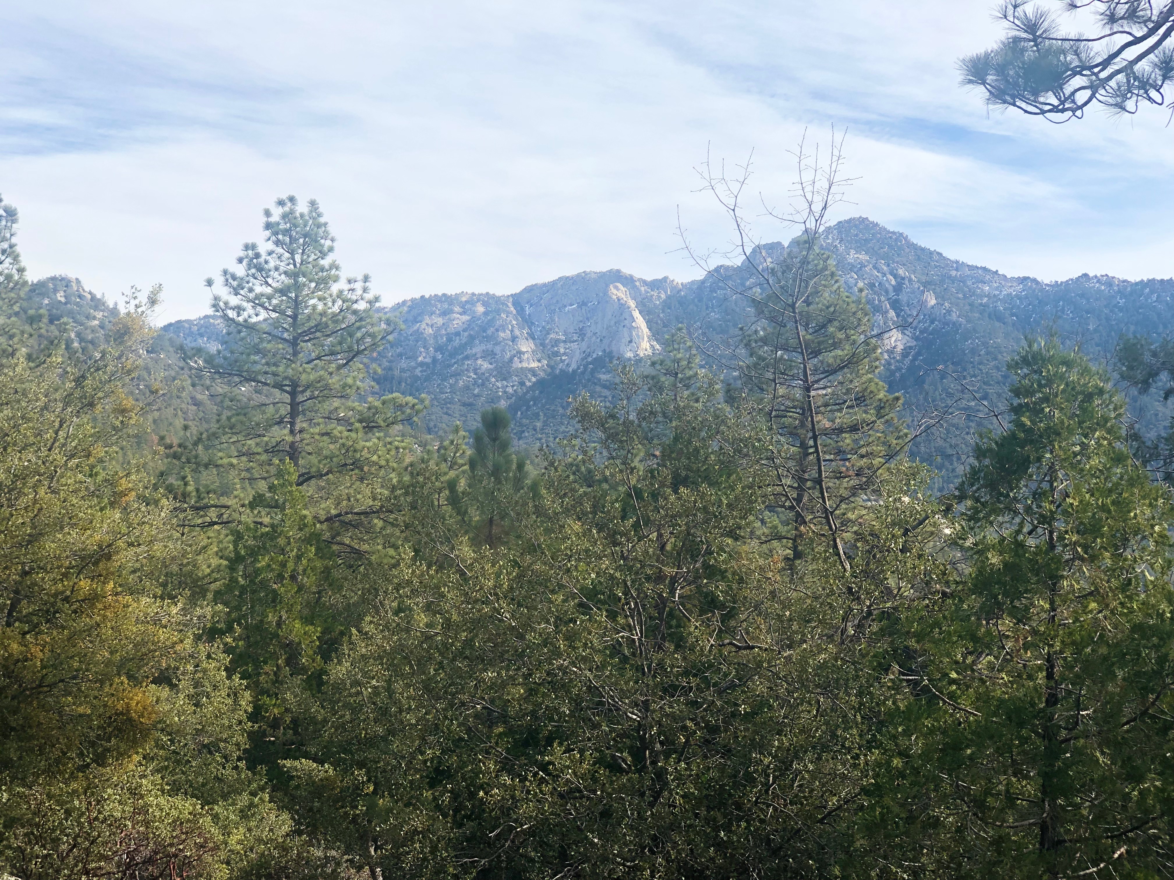 Beautiful views from the deck.-Original