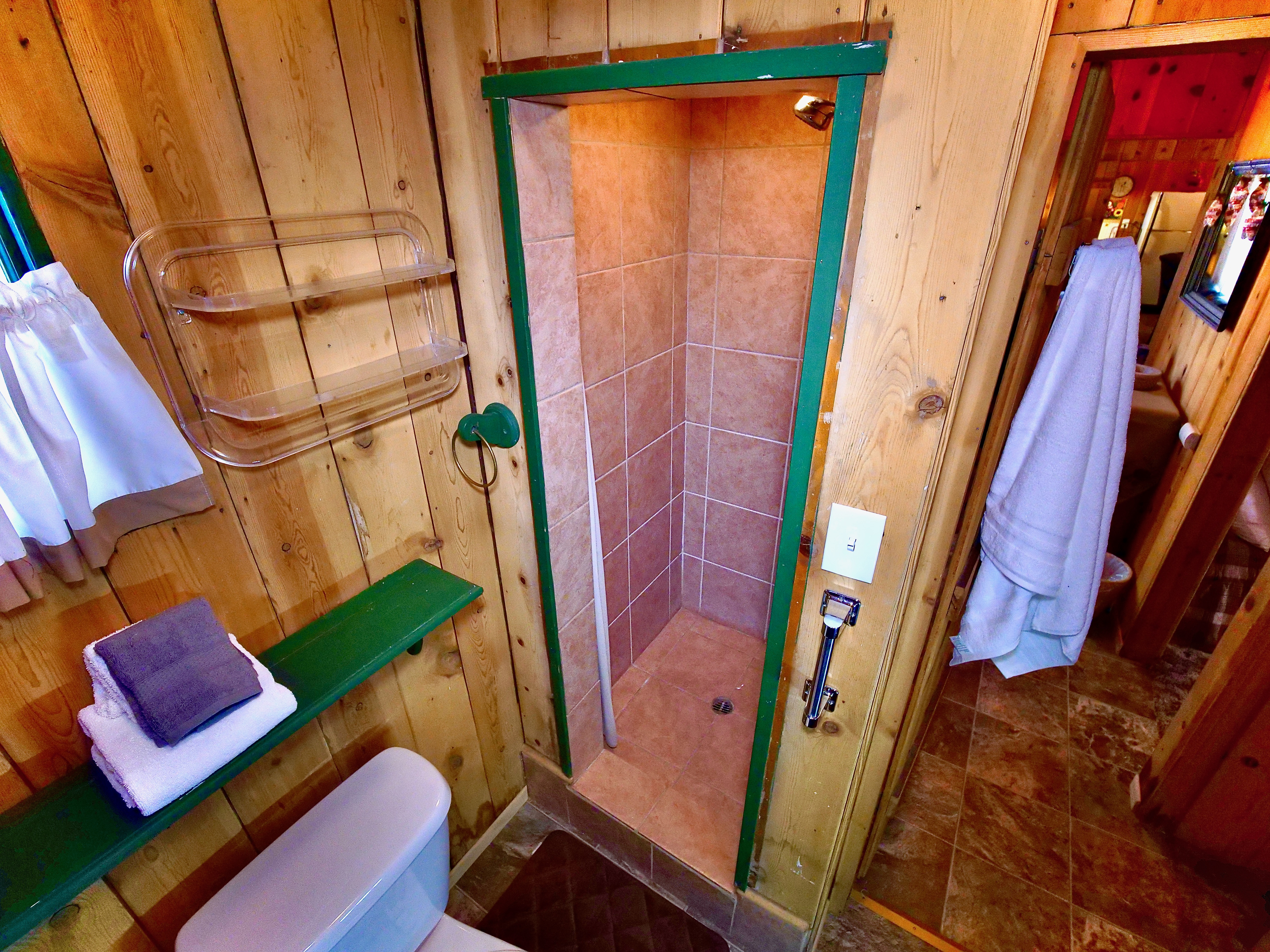 Bathroom with walk-in shower-Original