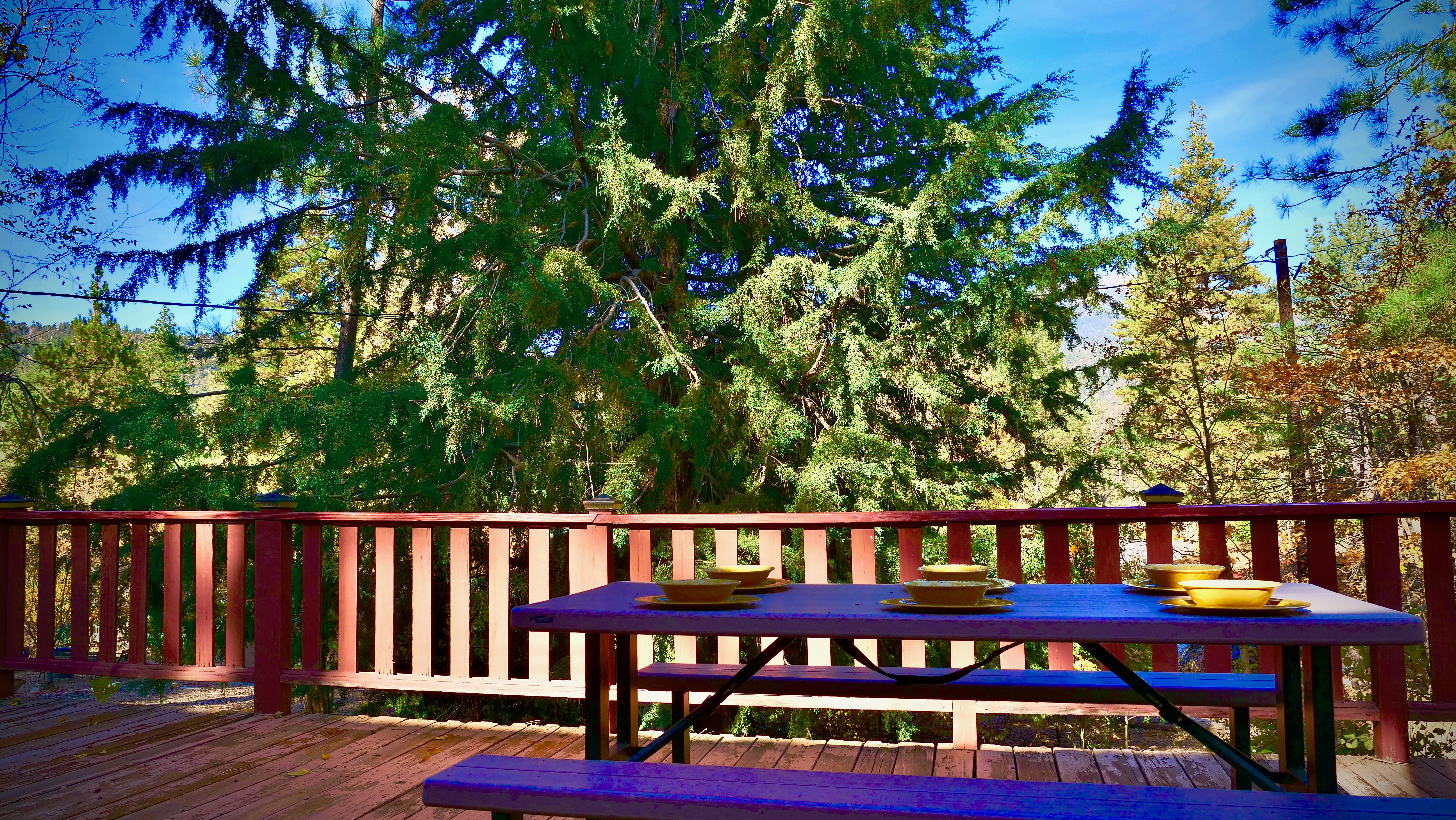 Beautiful tree views from the home's deck.-Original