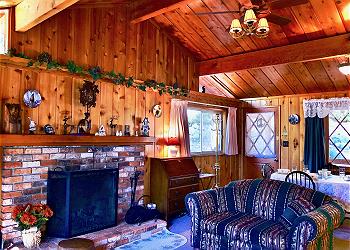 Curl up by the fireplace and enjoy your favorite movie or TV sho