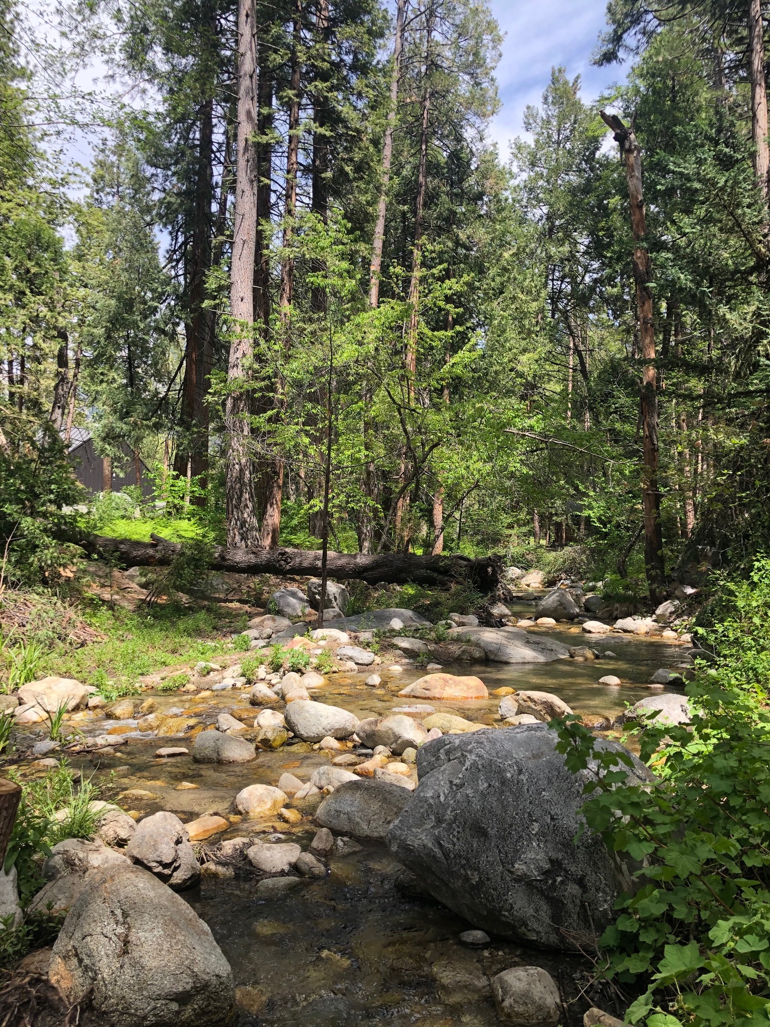 Cabin is on the Strawberry Creek and you can follow into town   -Original