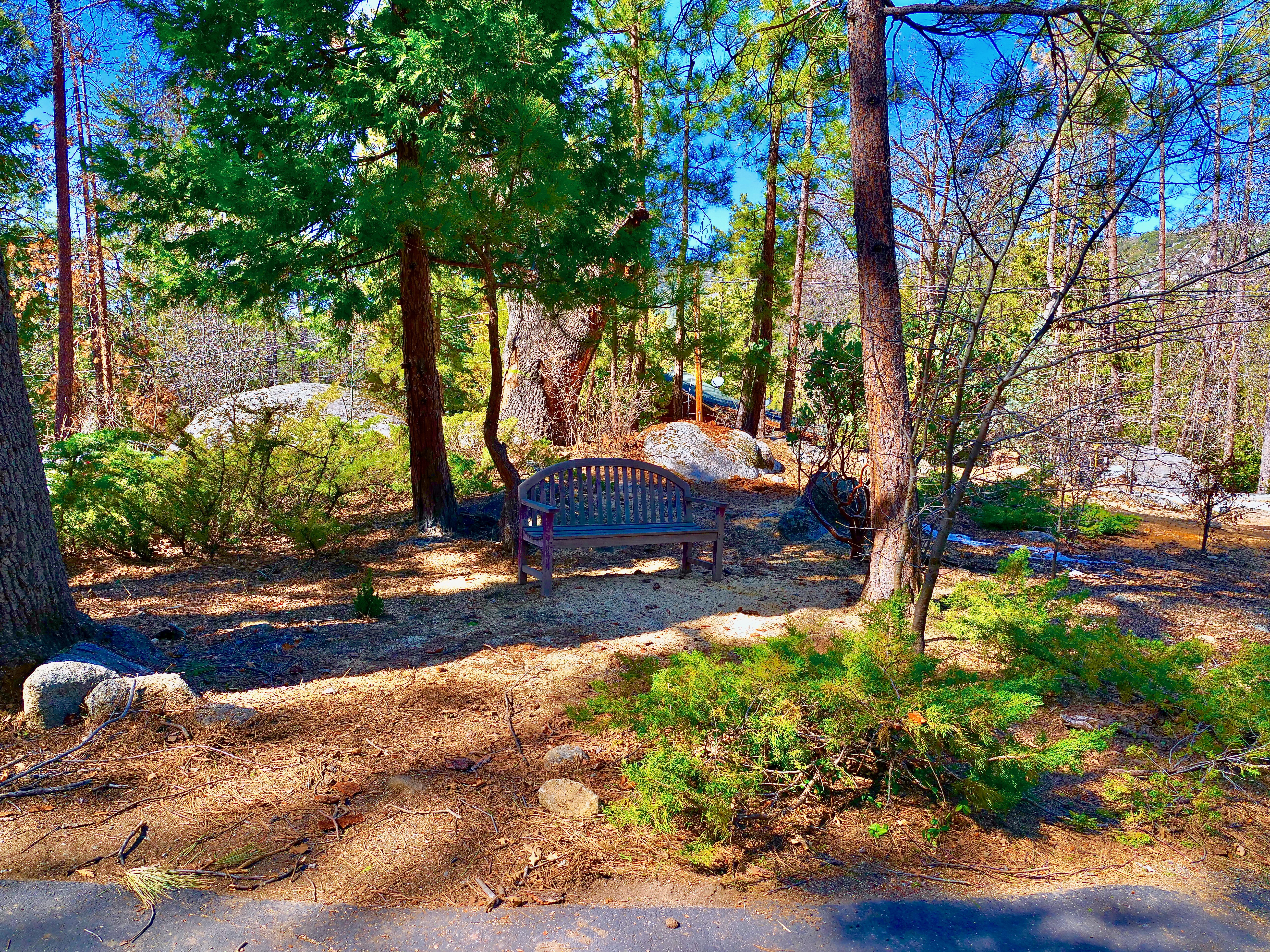 Spacious backyard with plenty of trees give home secluded feel.-Original