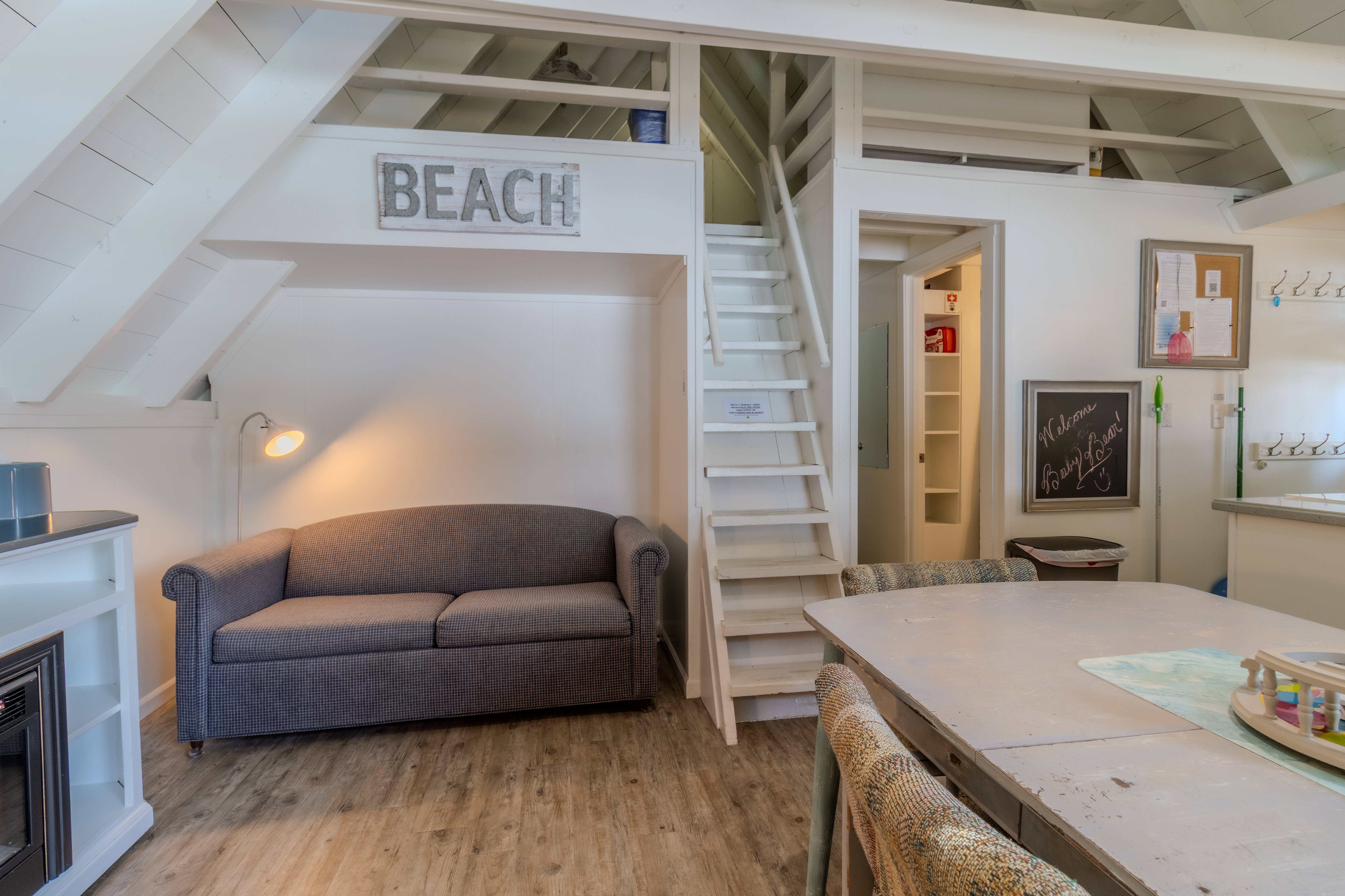 Baby Bear | Photo 13