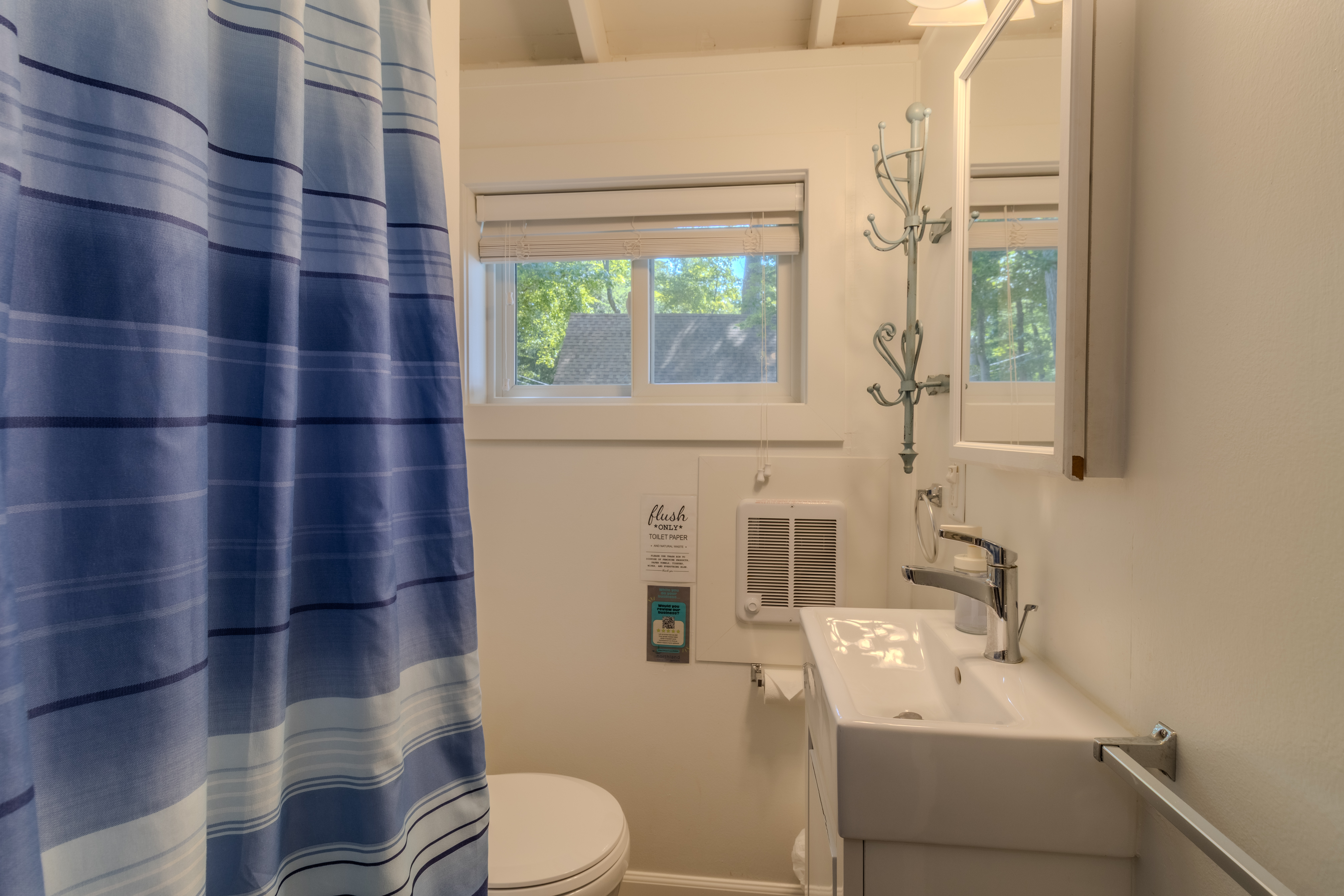 Baby Bear | Photo 19