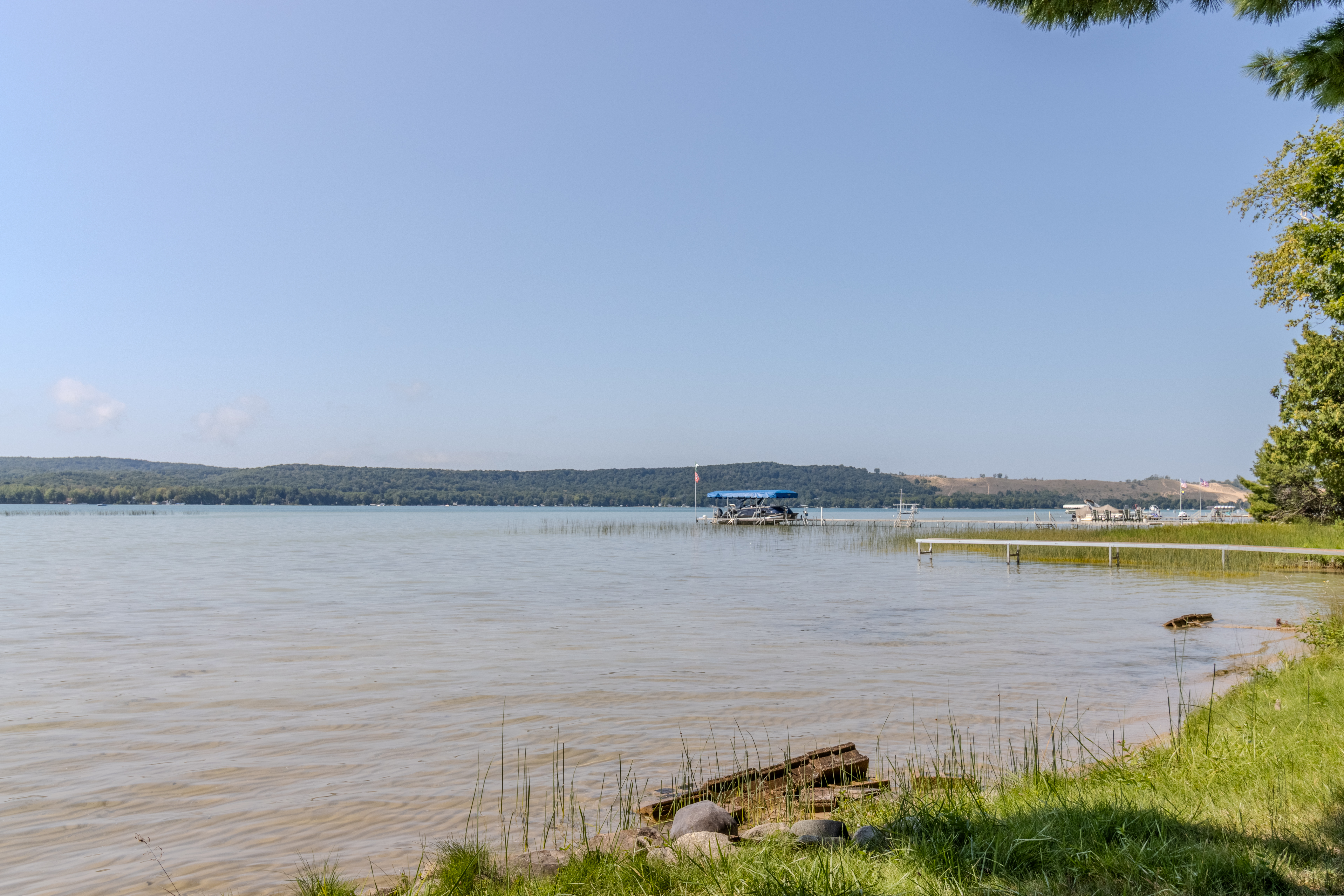 Baby Bear | Photo 21