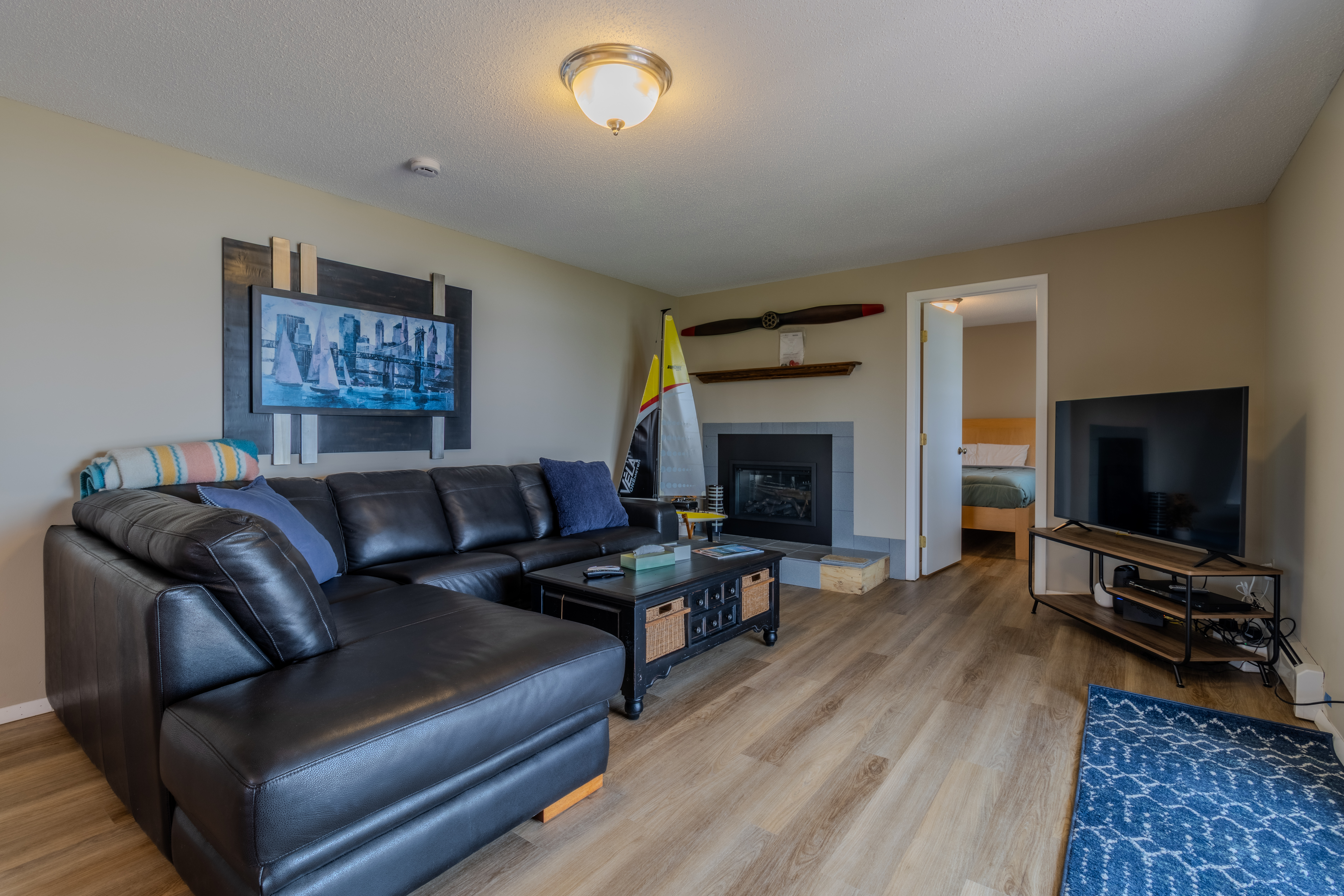 Lower Level Living Space