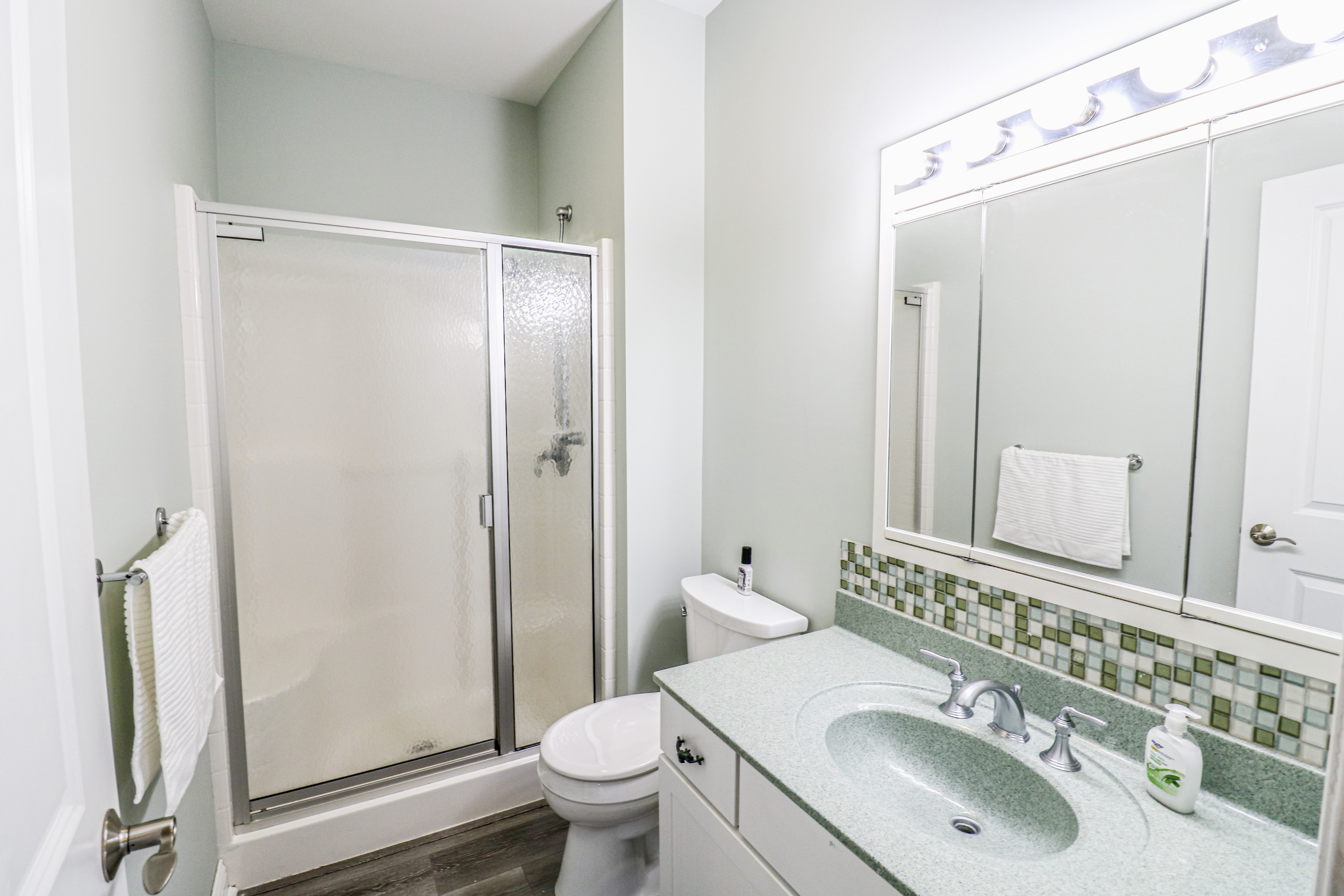 Lower Level Bathroom (Full)