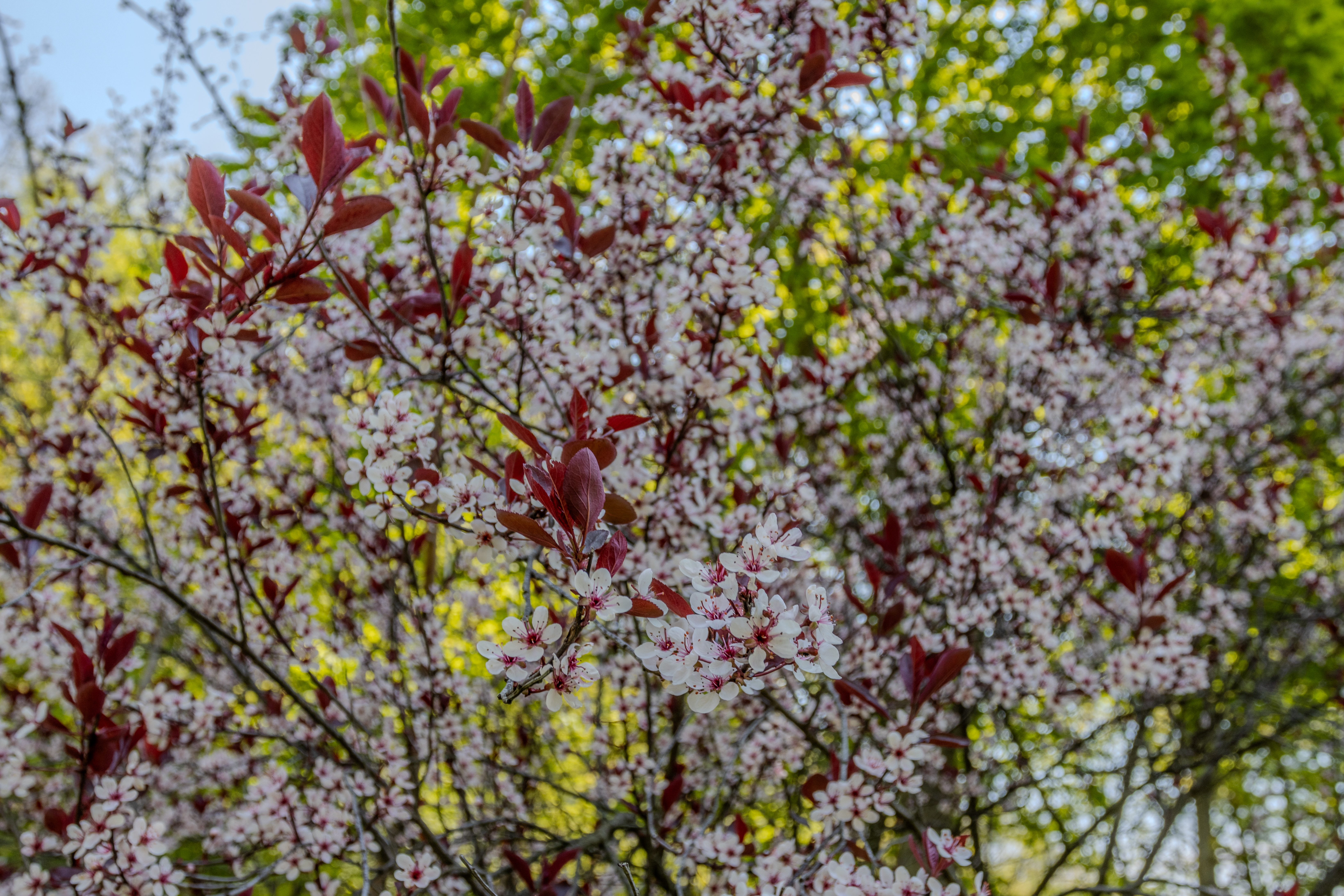 Broadway Base Camp | Photo 43