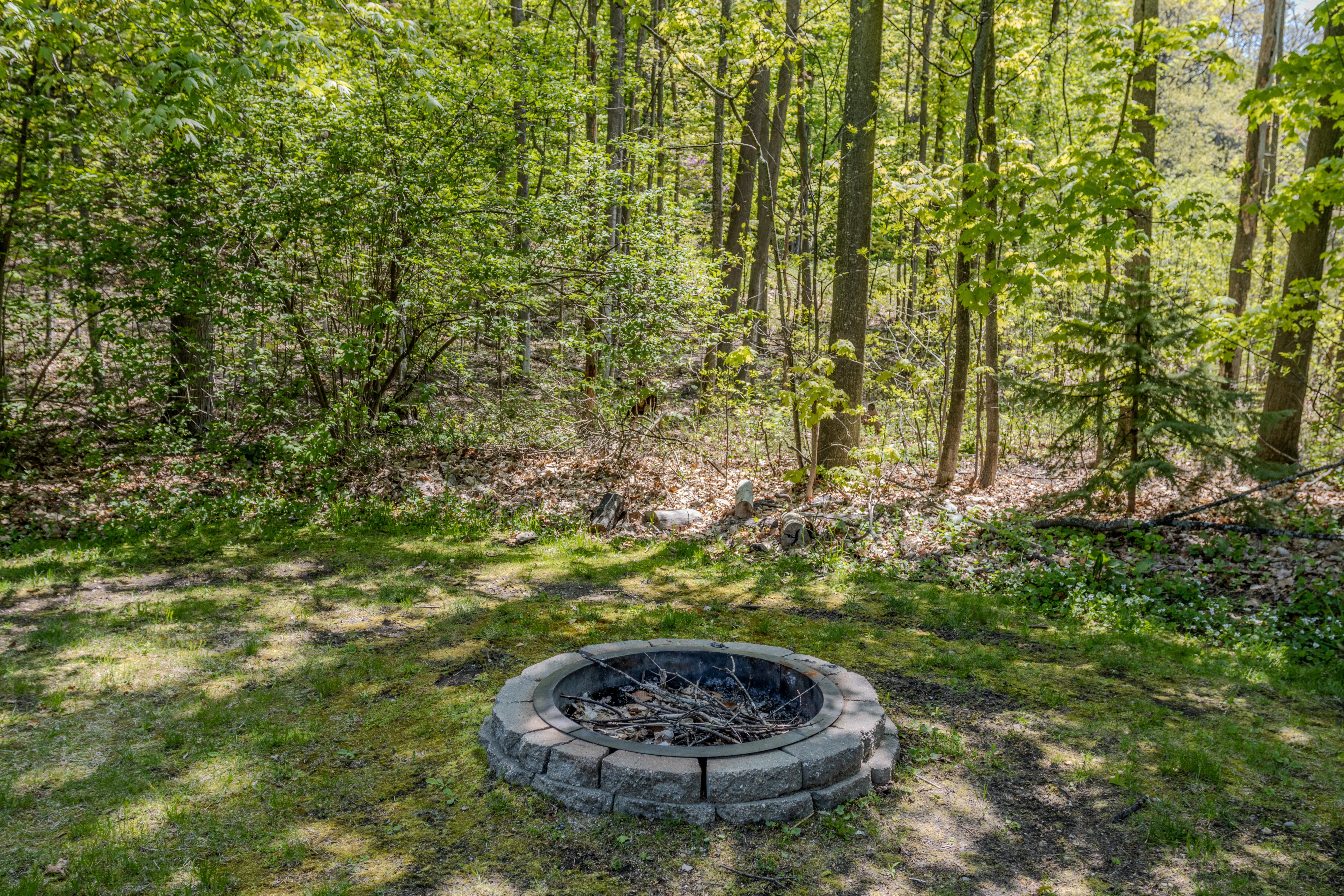 Exterior Back Yard Firepit