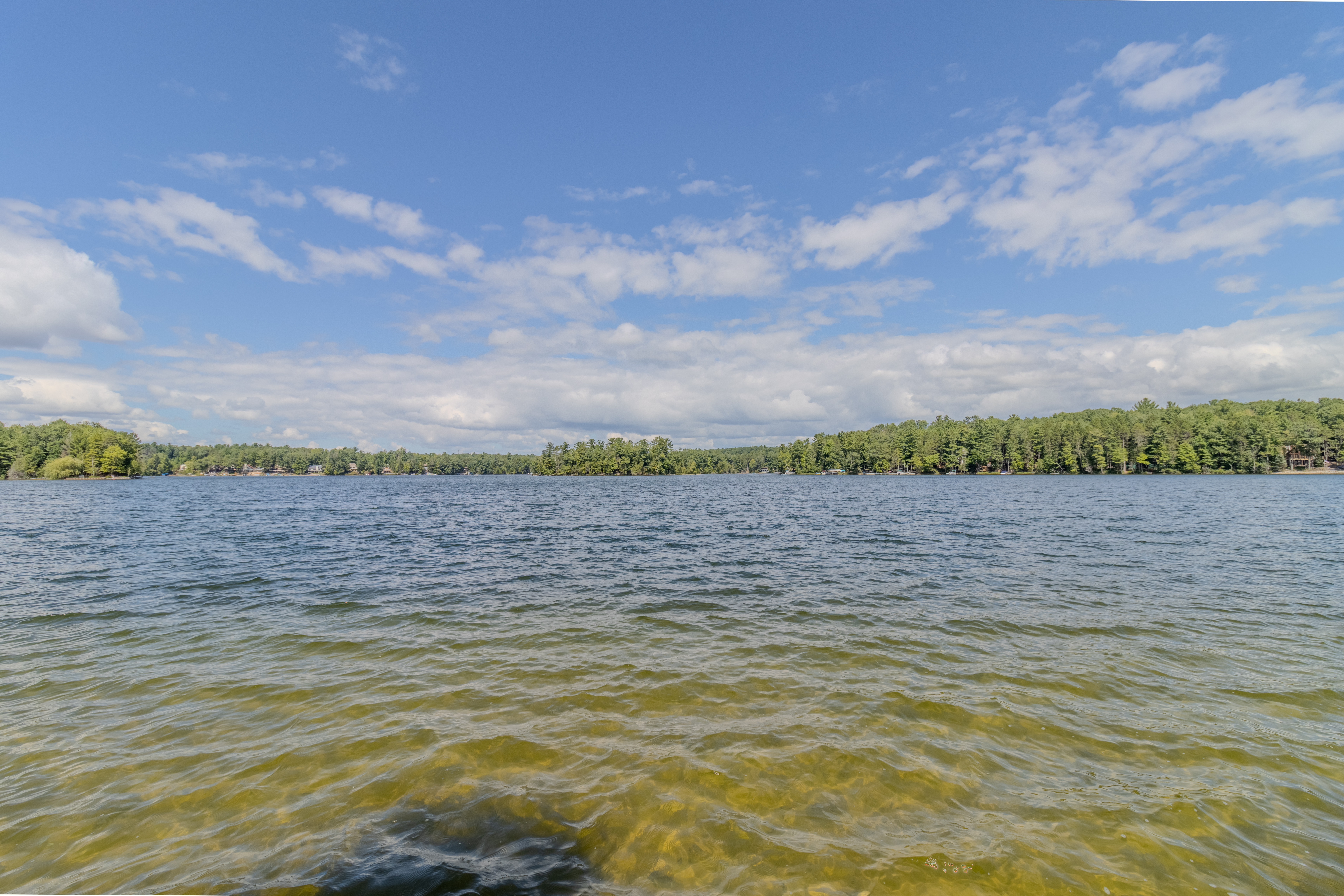 The Cabin on Spider Lake | Photo 73