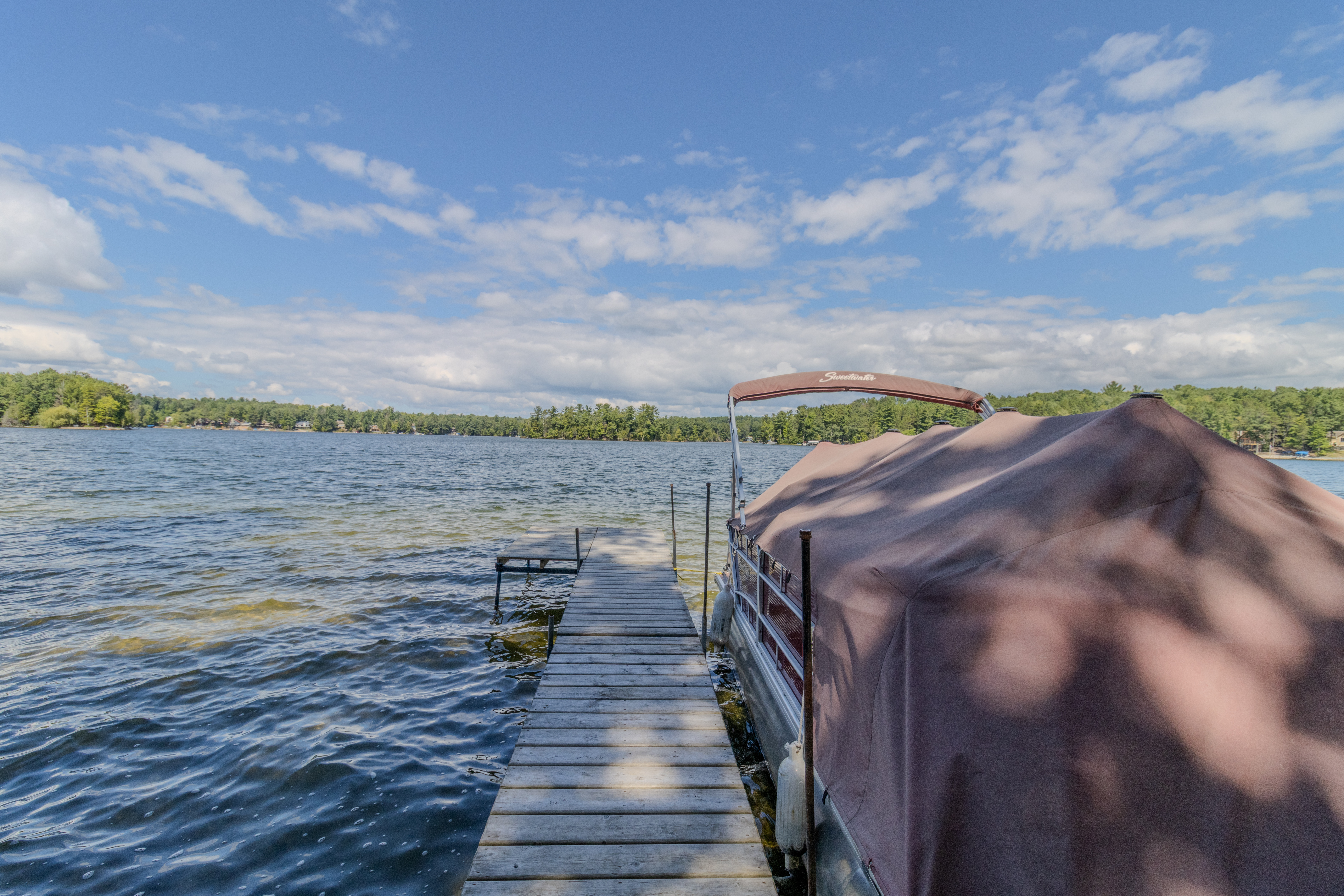 The Cabin on Spider Lake | Photo 102