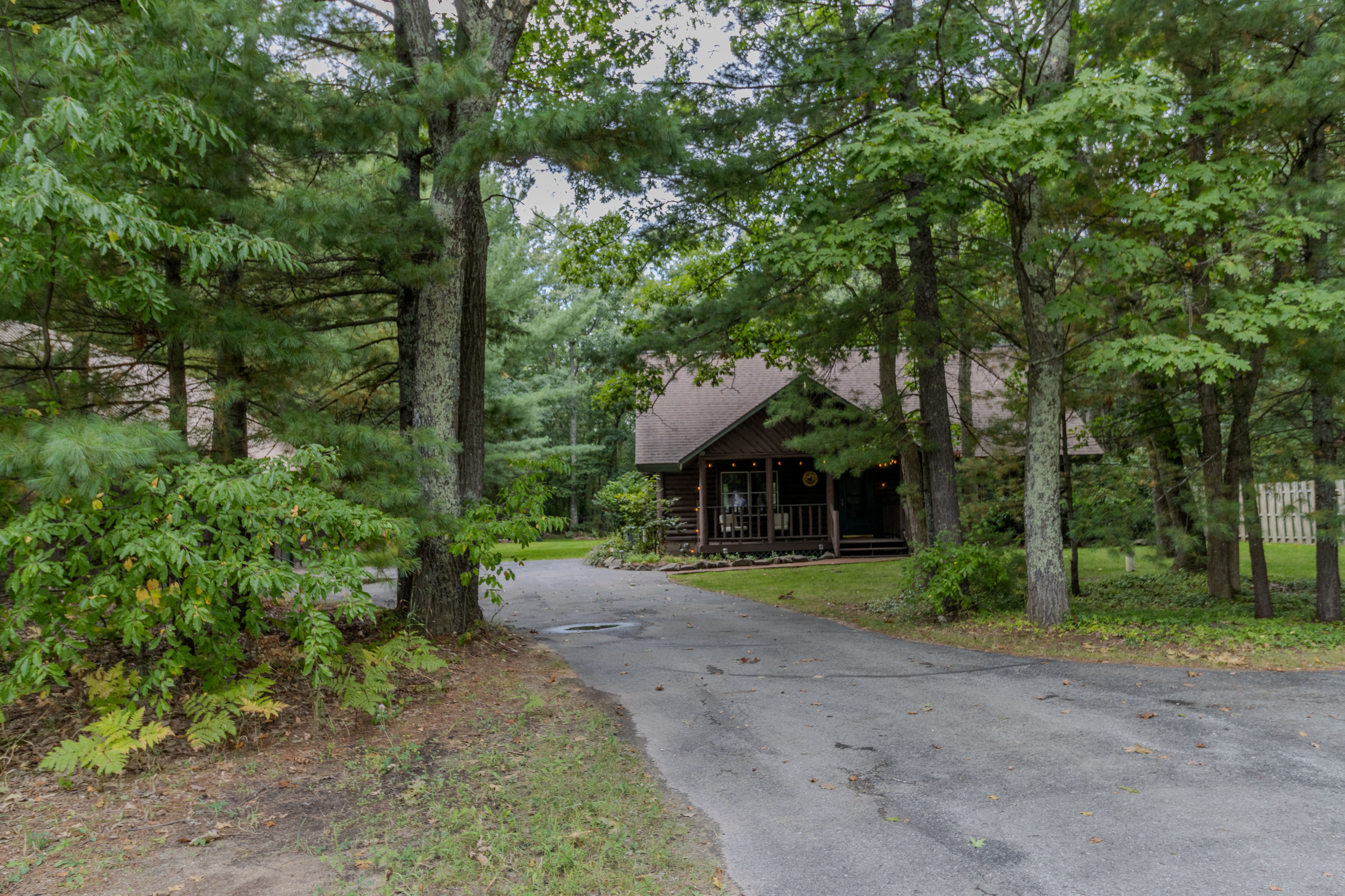 Nestled Ducks | Photo 4