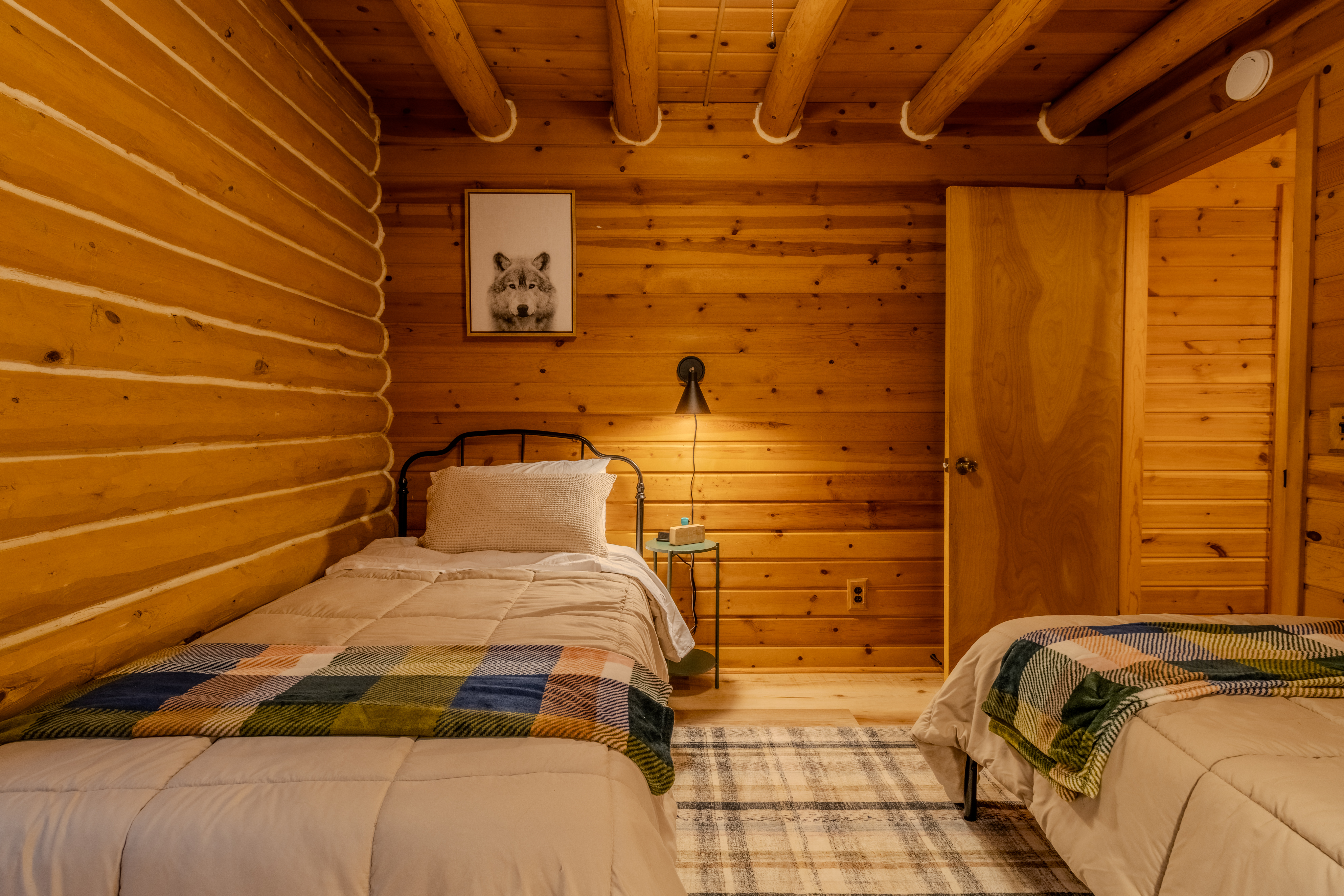 Nestled Ducks | Photo 80