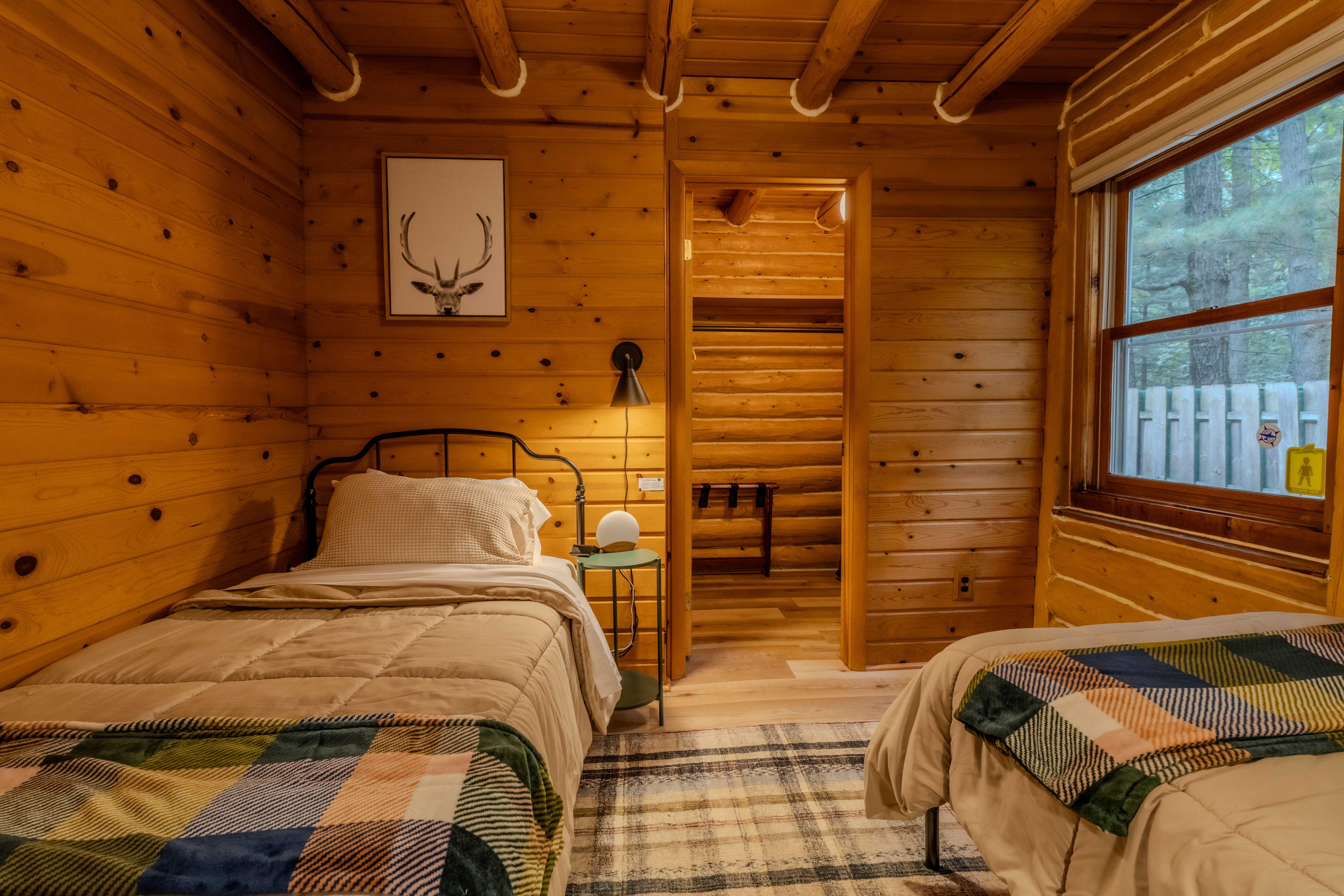 Nestled Ducks | Photo 88