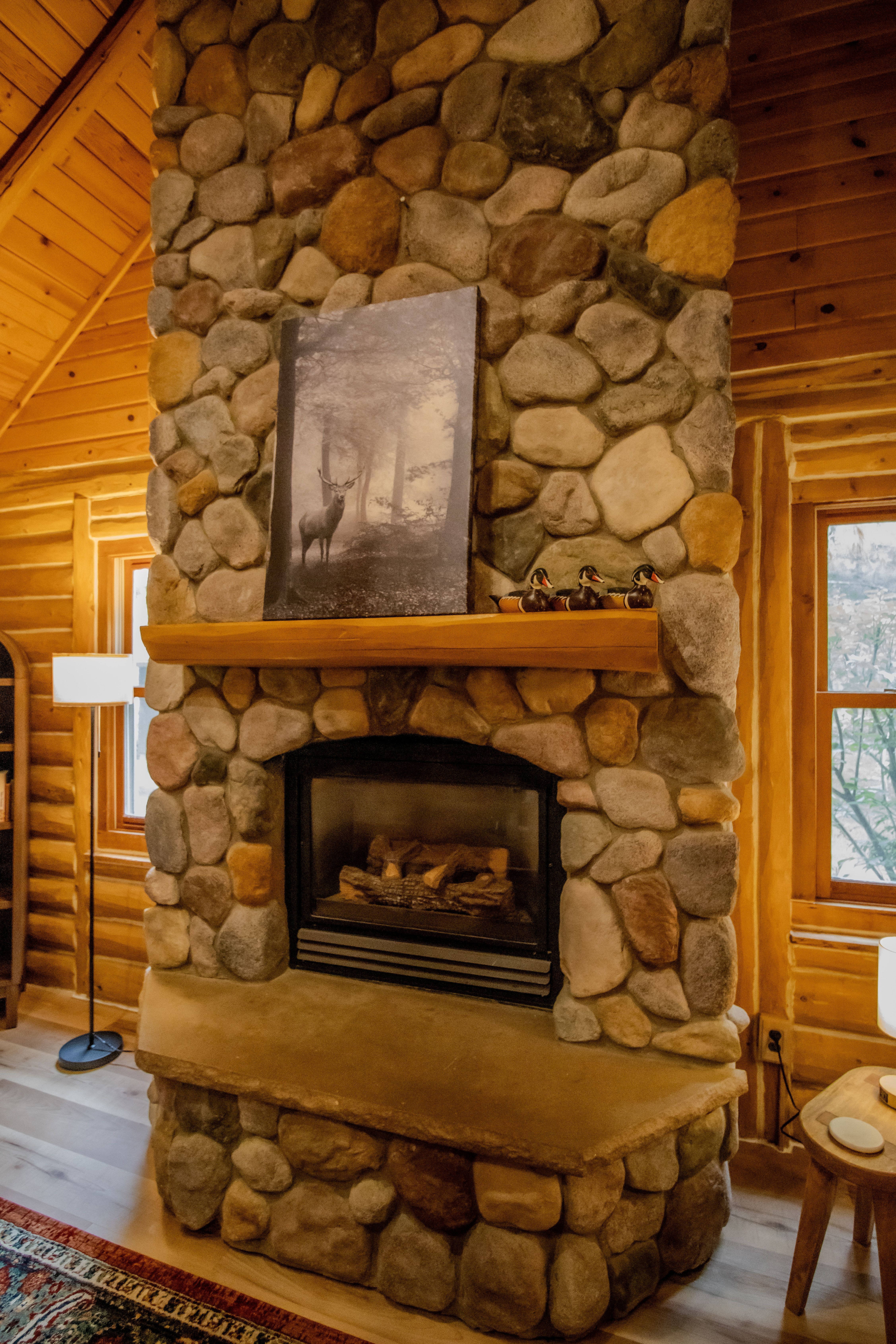 Nestled Ducks | Photo 21