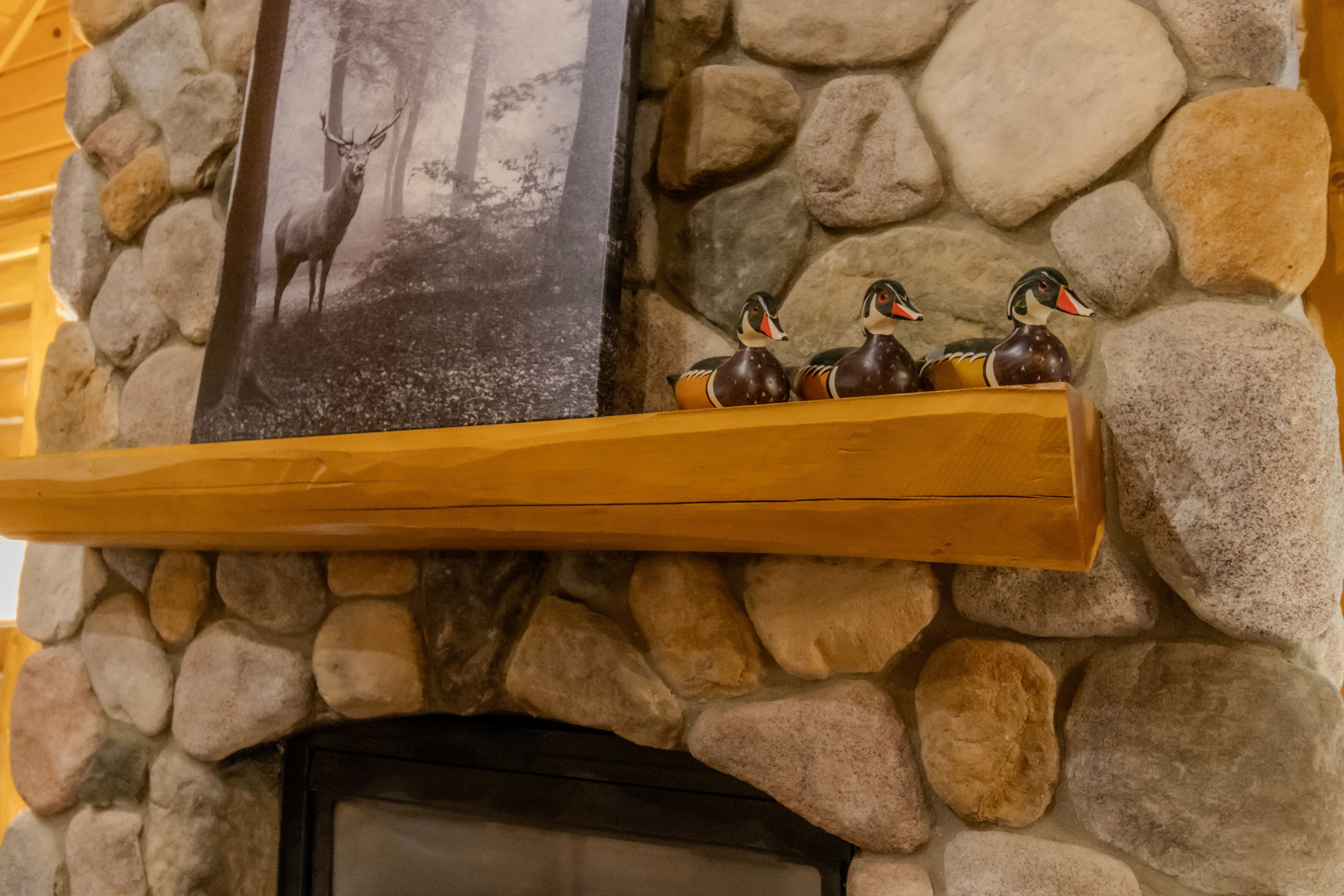 Nestled Ducks | Photo 8