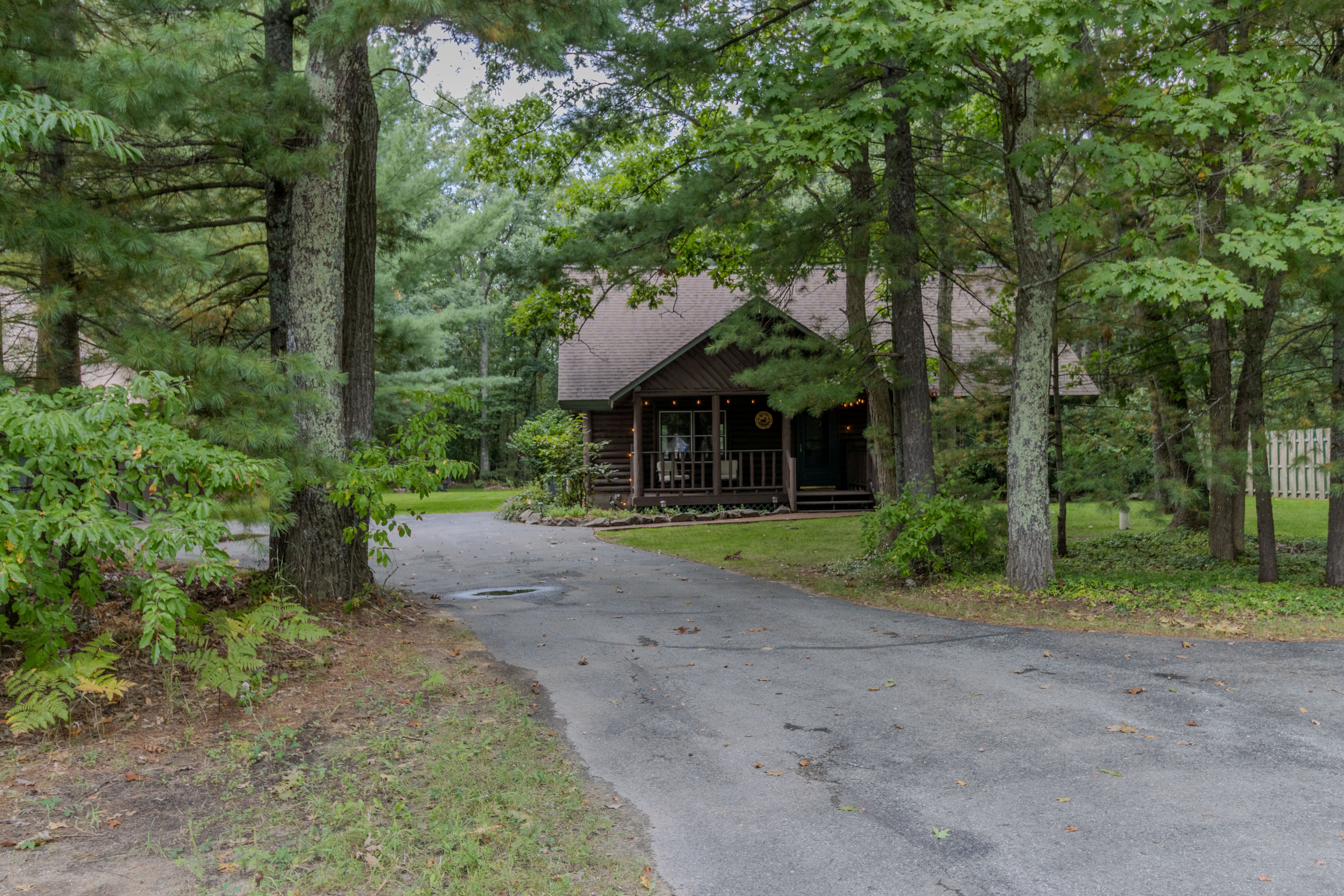 Nestled Ducks | Photo 6