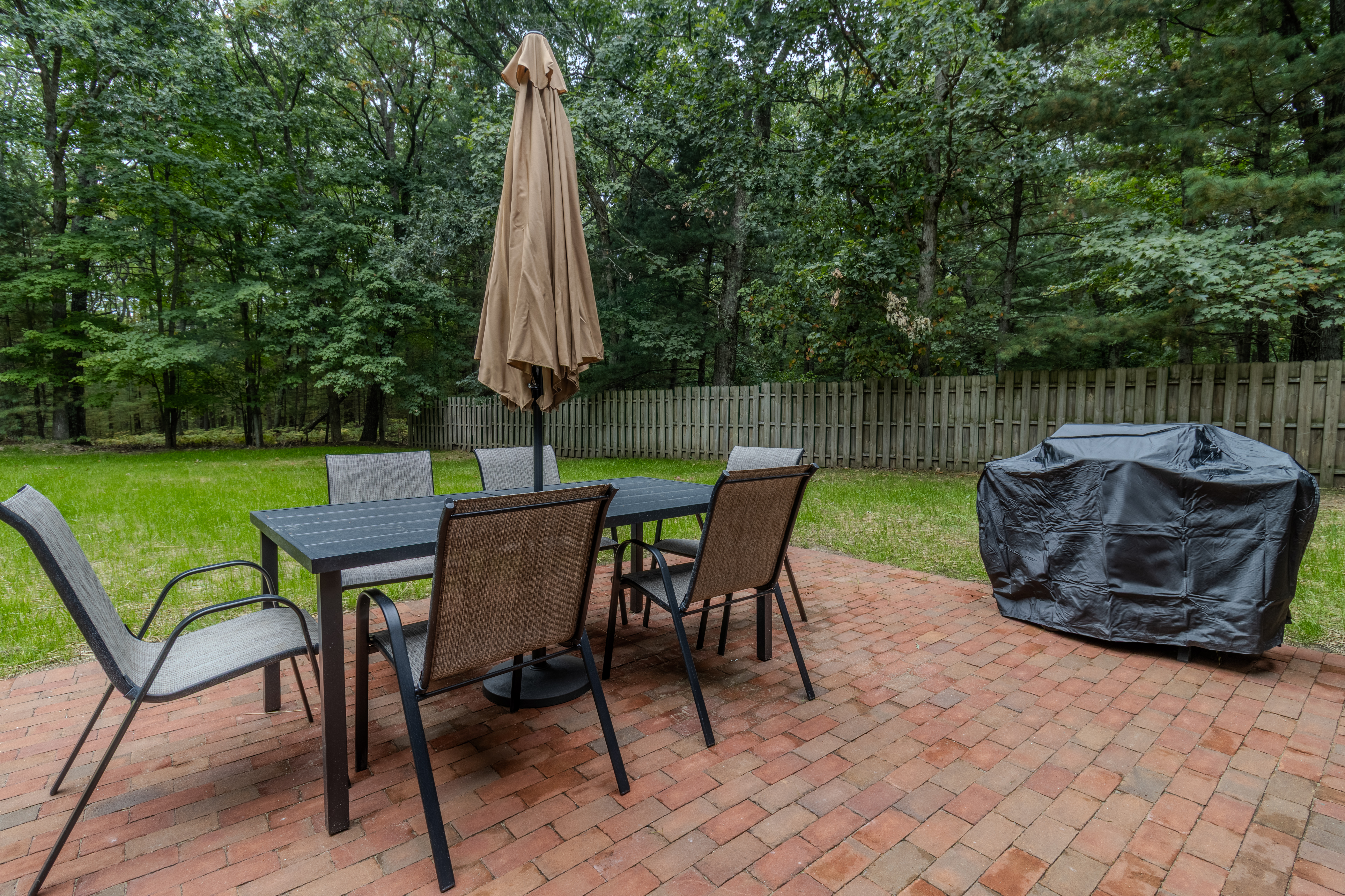 Nestled Ducks | Photo 96