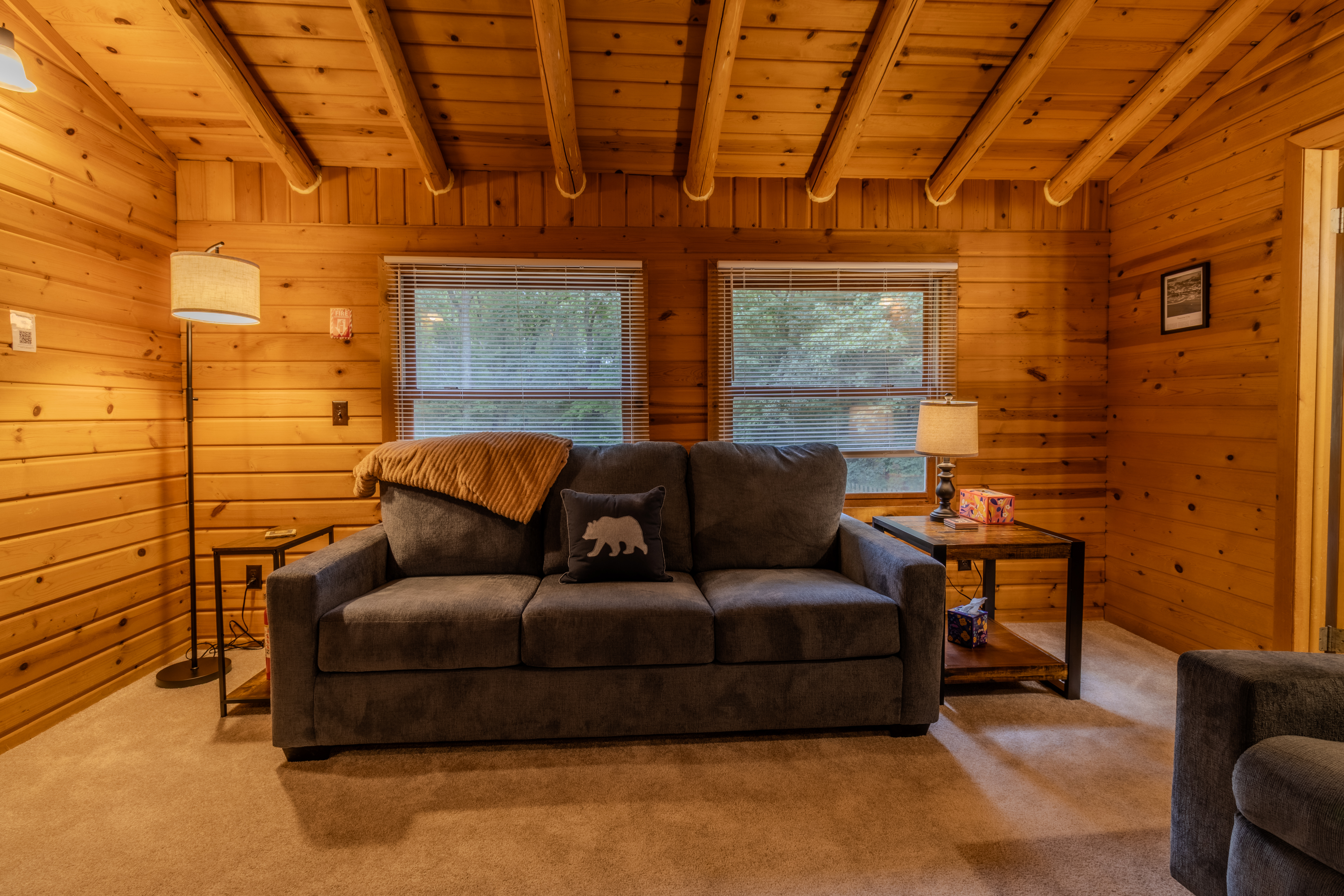 Nestled Ducks | Photo 89