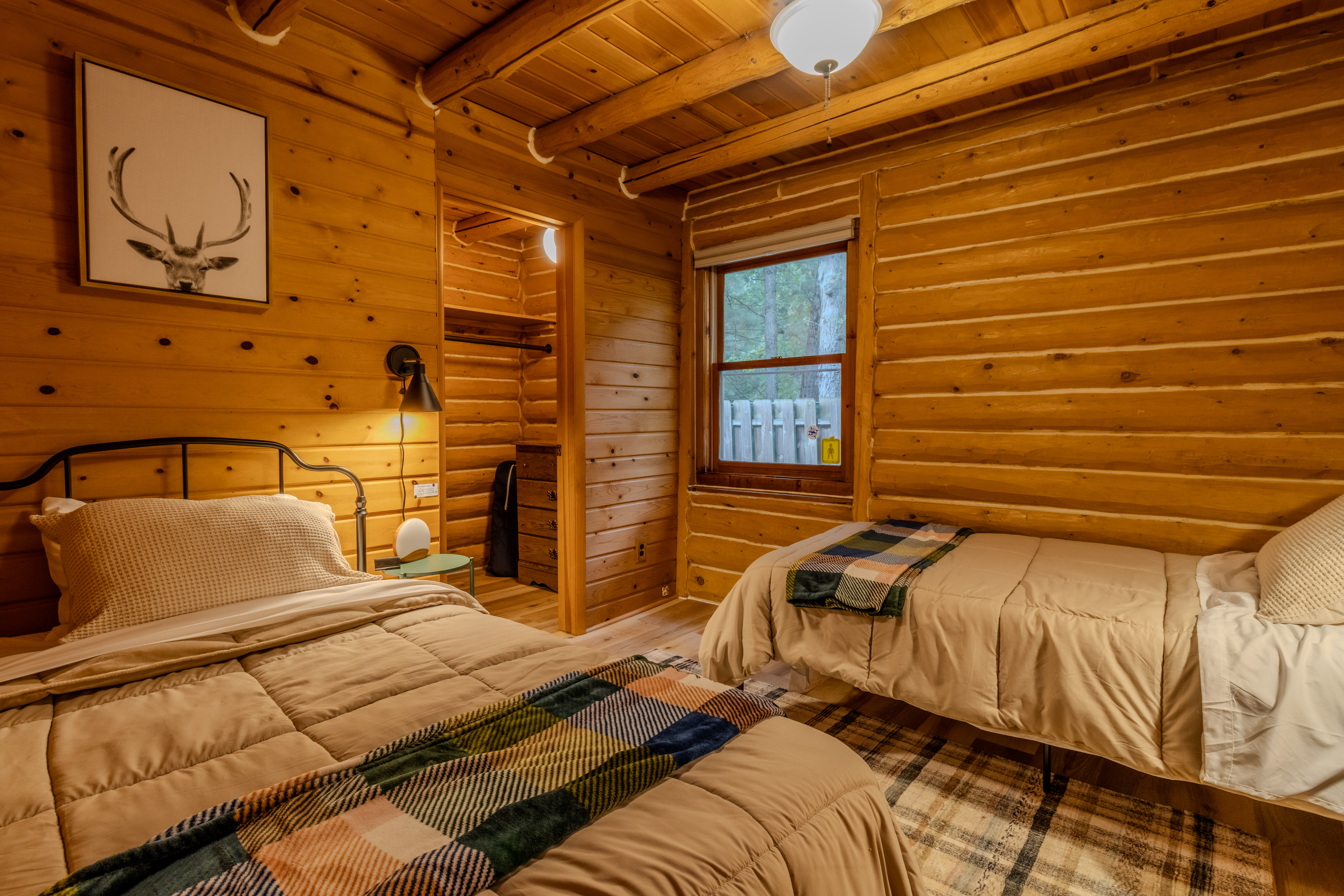 Nestled Ducks | Photo 64