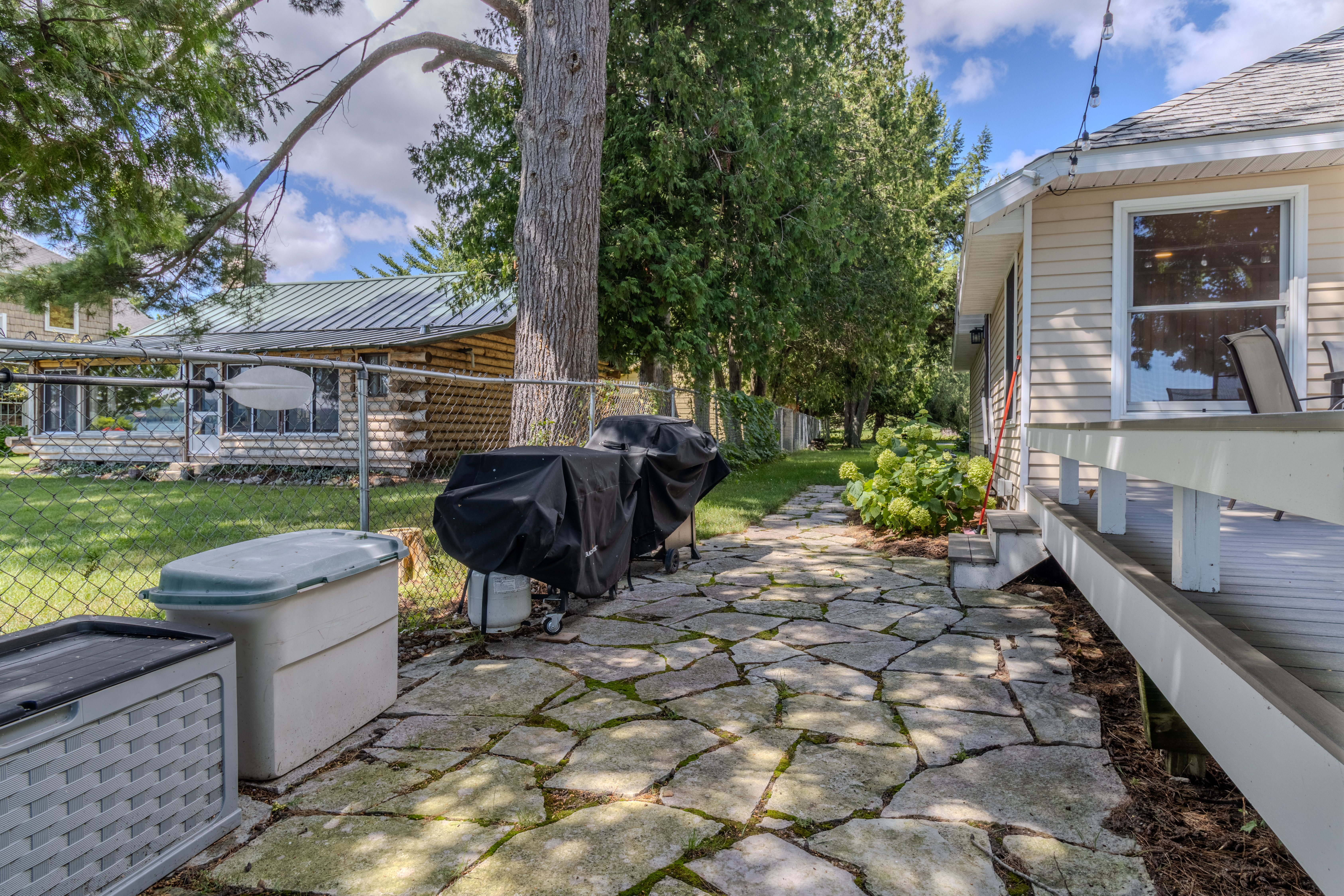 Four Feathers | Photo 101