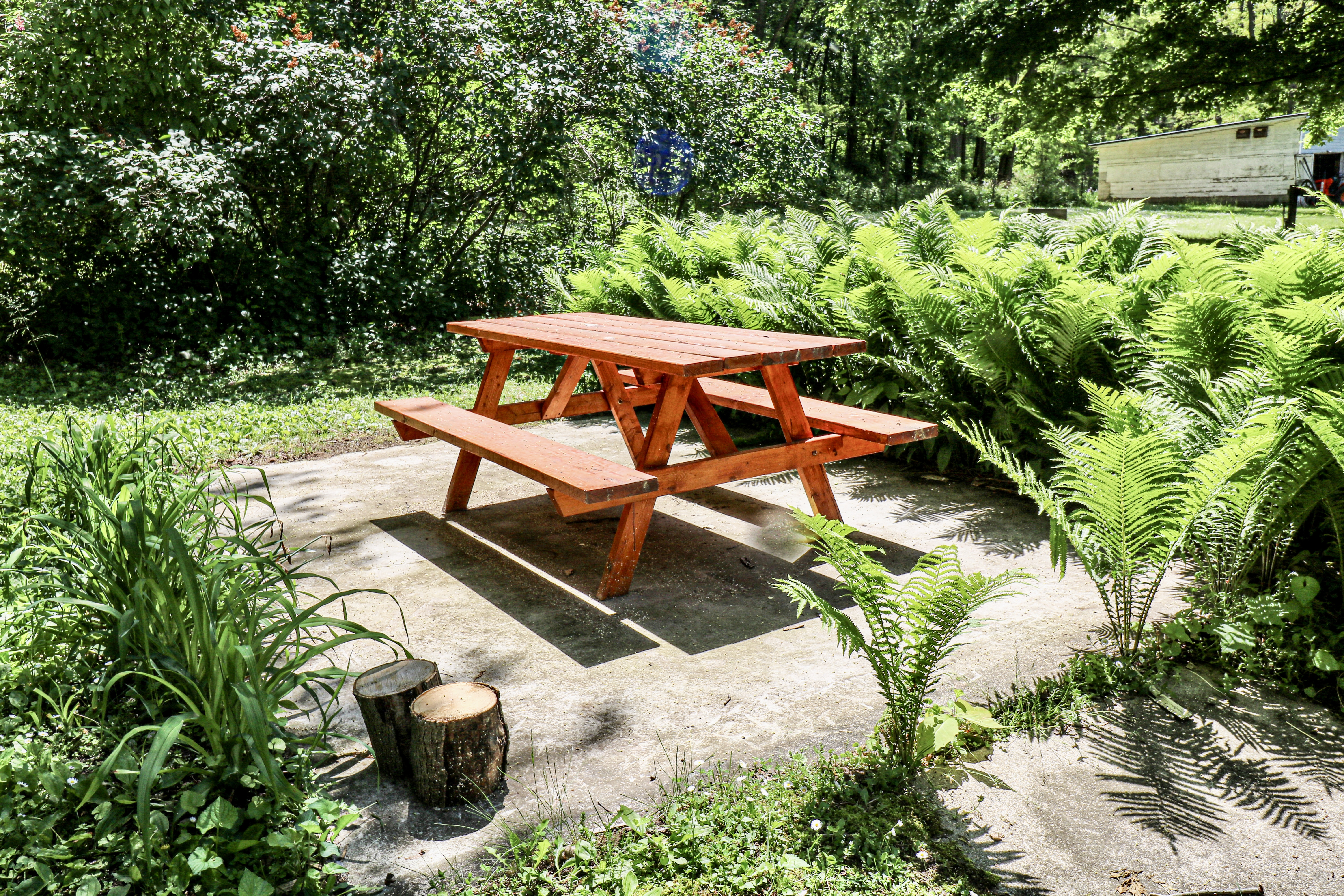 Firefly Cottage | Photo 75