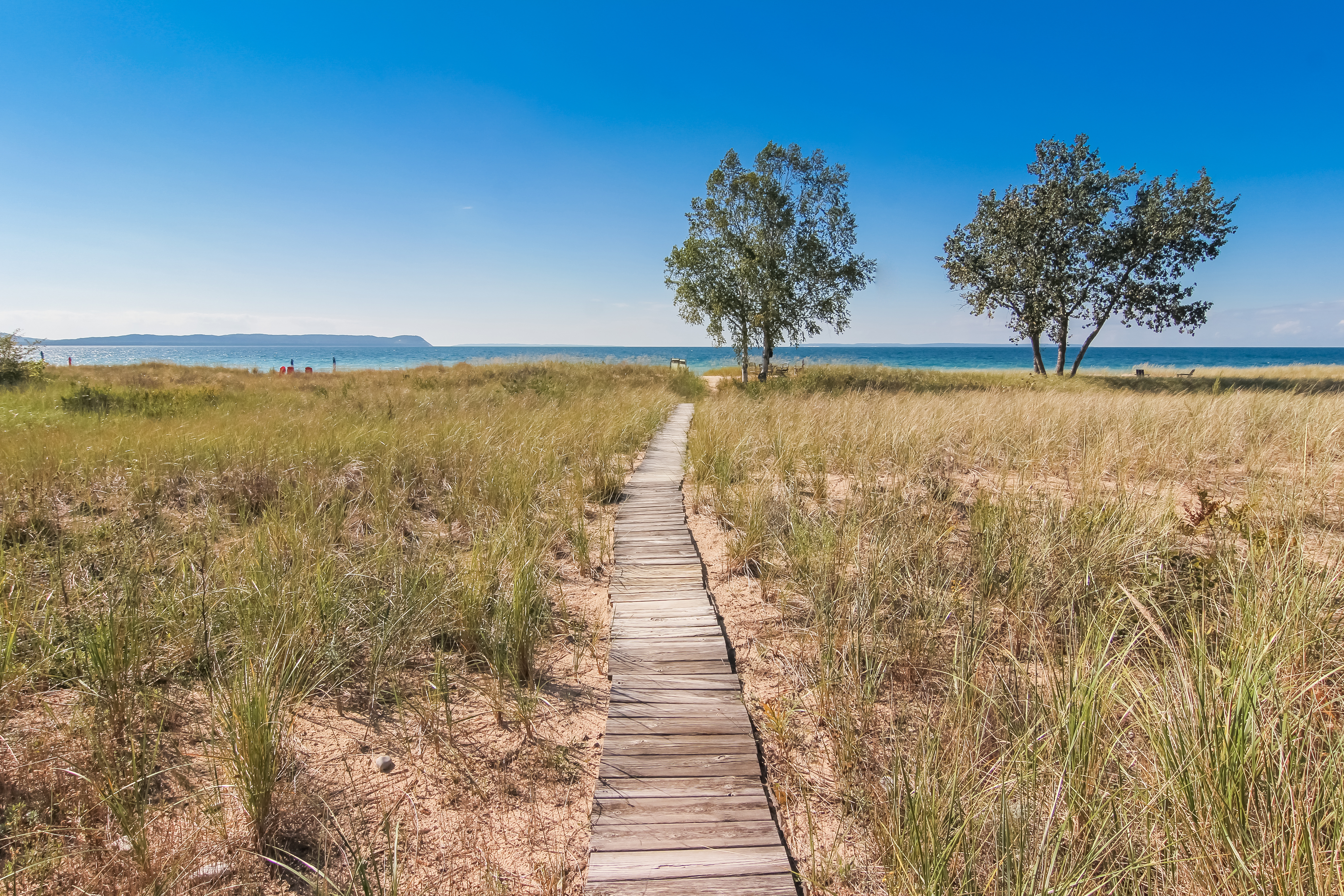 Good Harbour Prelude | Photo 68