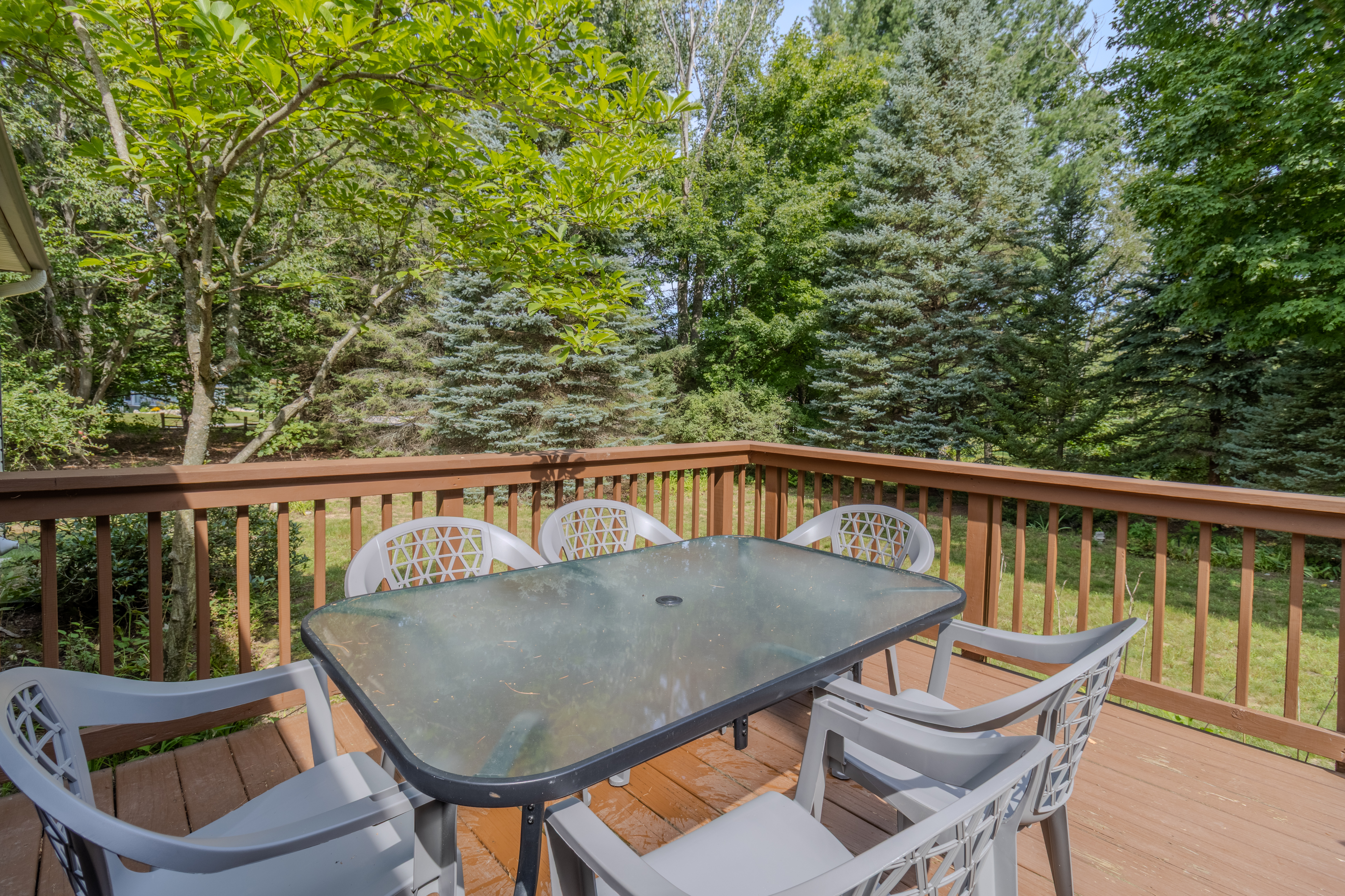 Making Memories | Photo 100