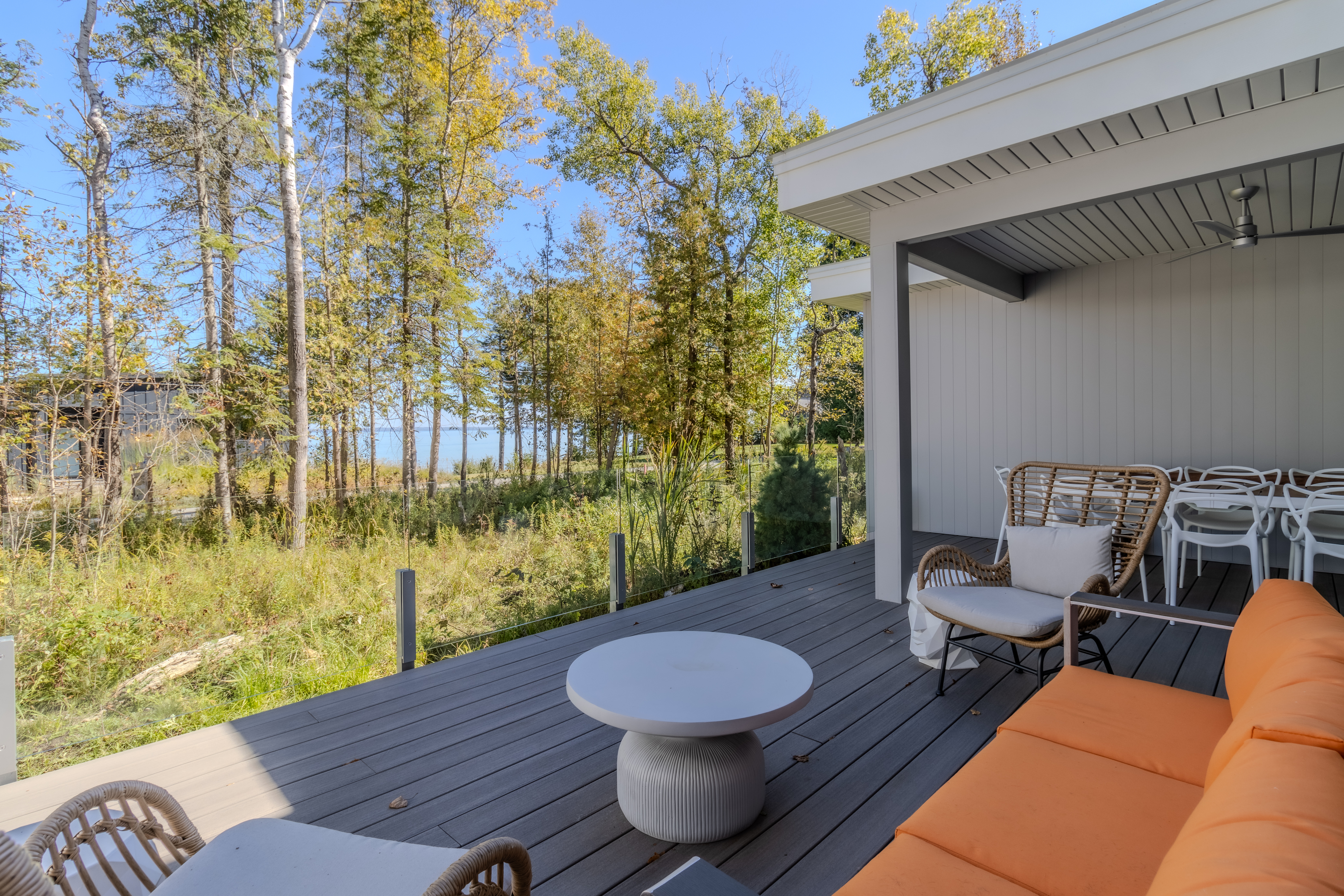 Stargazer | Photo 65