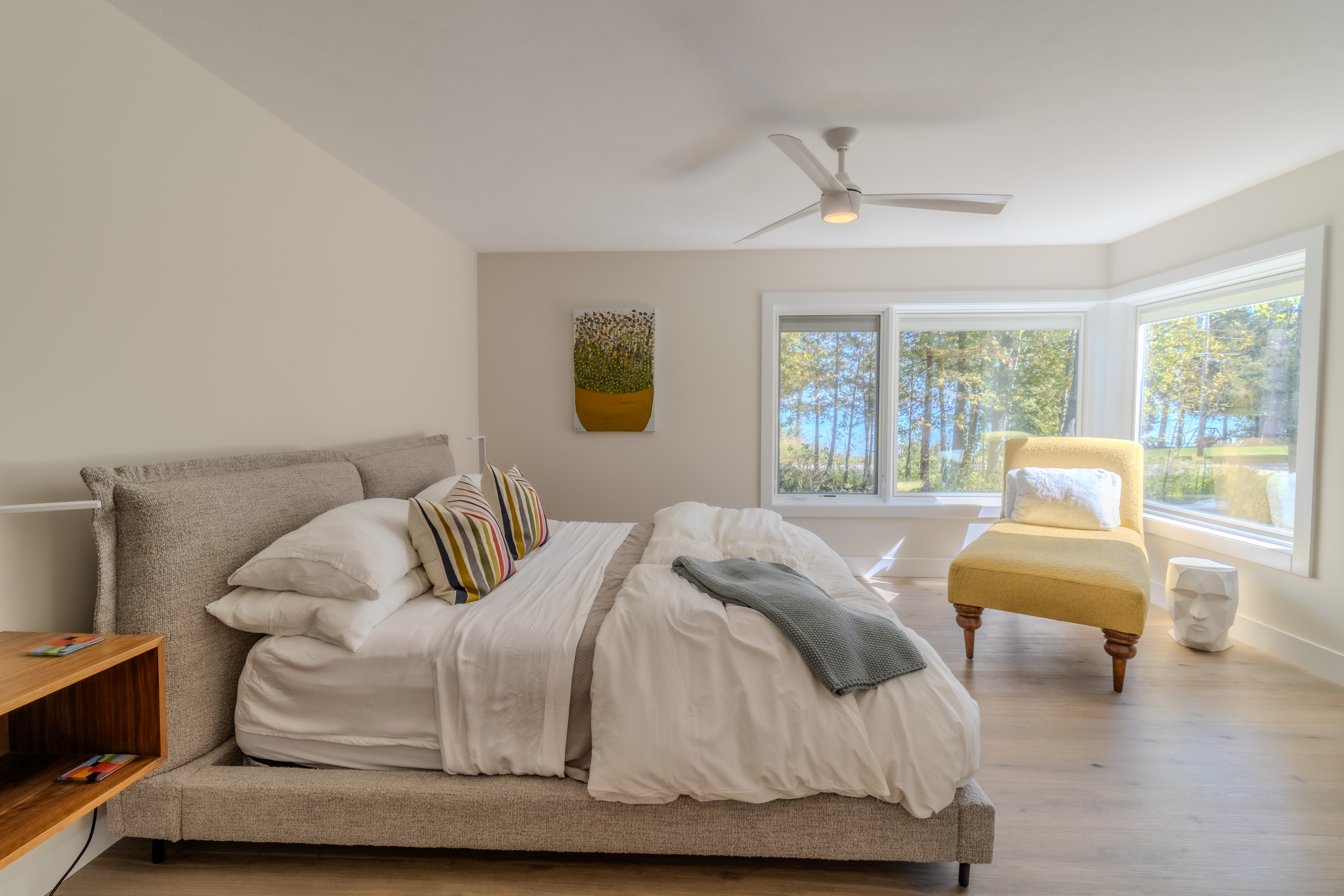 Stargazer | Photo 49