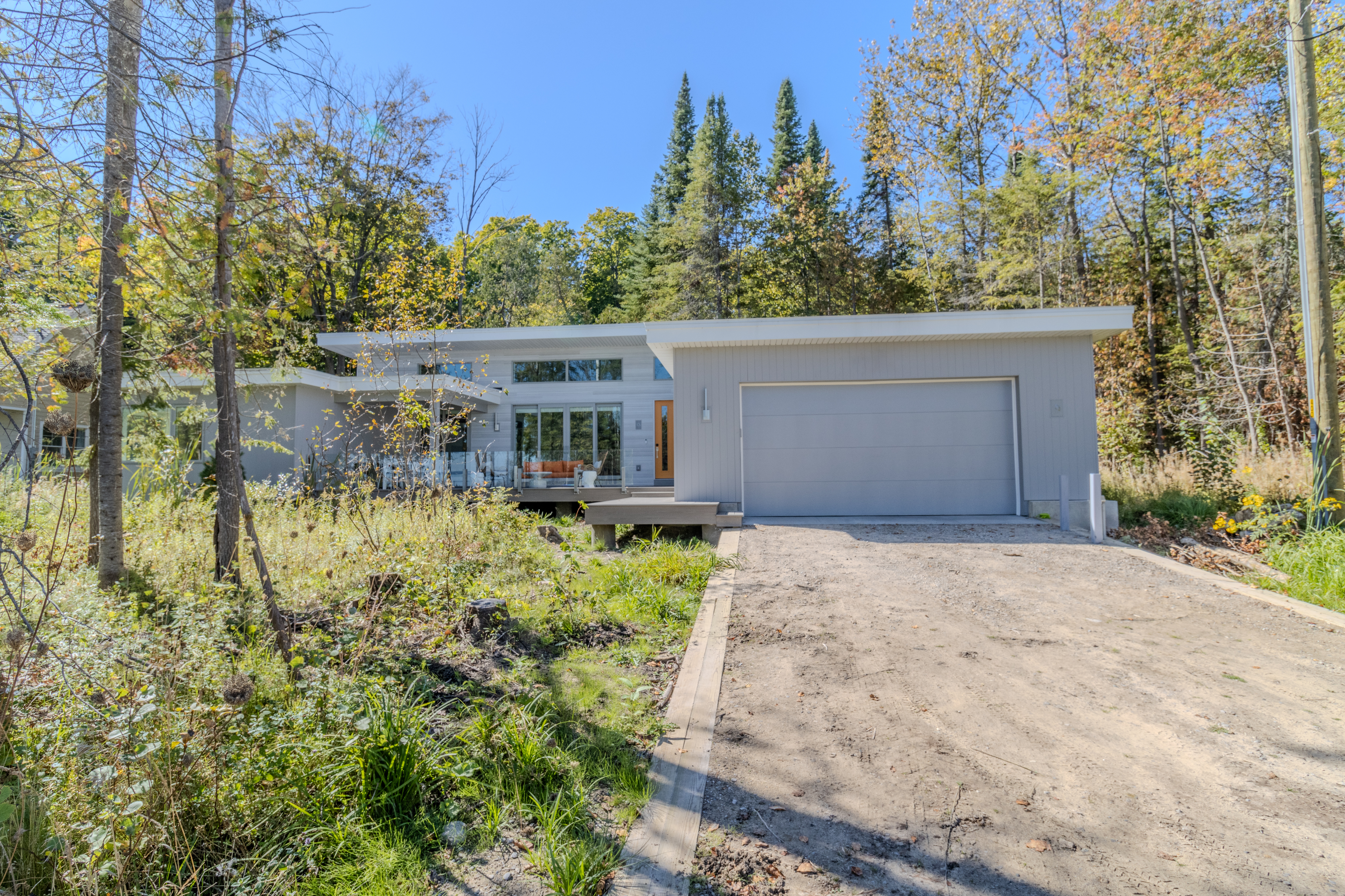 Stargazer | Photo 70