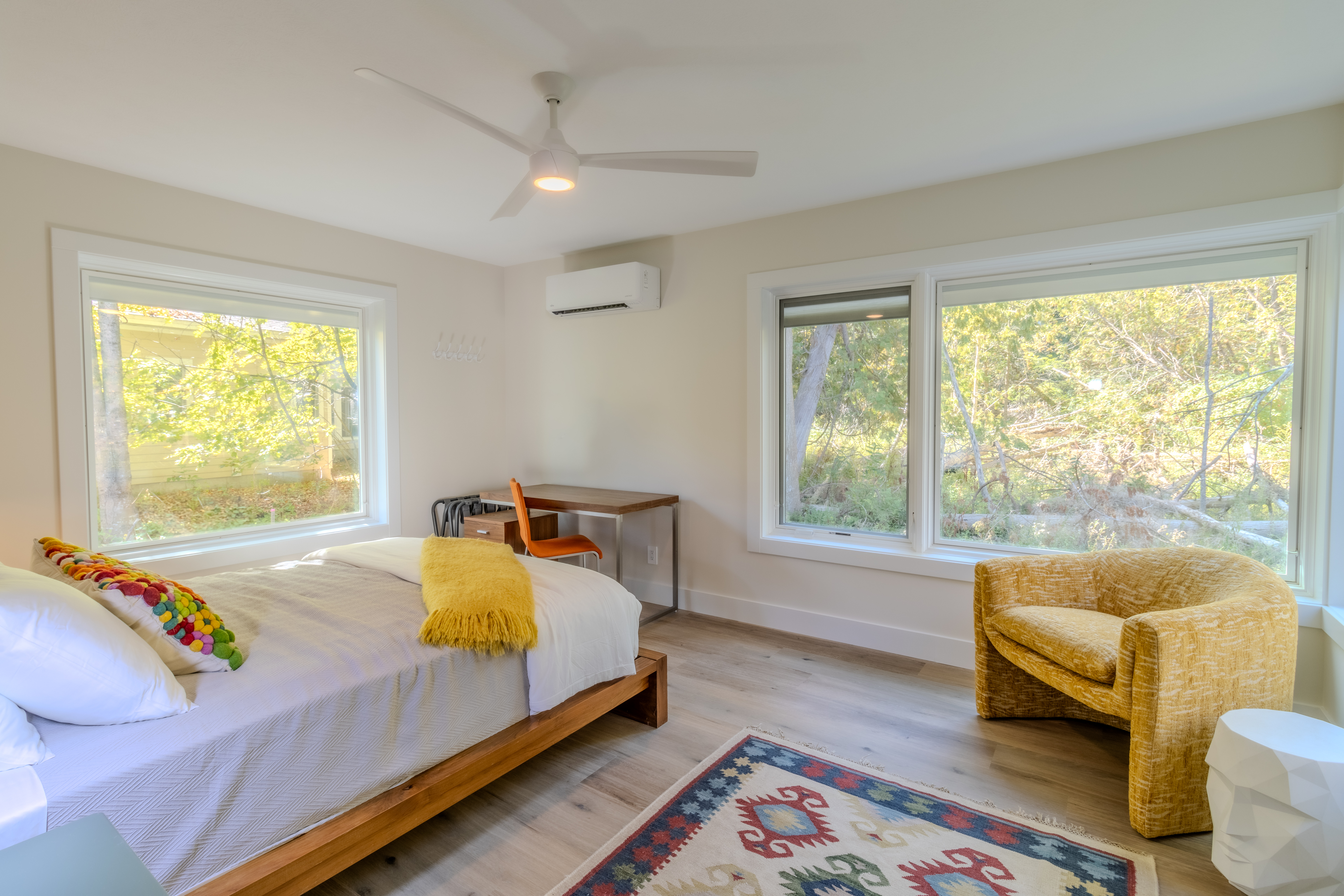 Stargazer | Photo 55