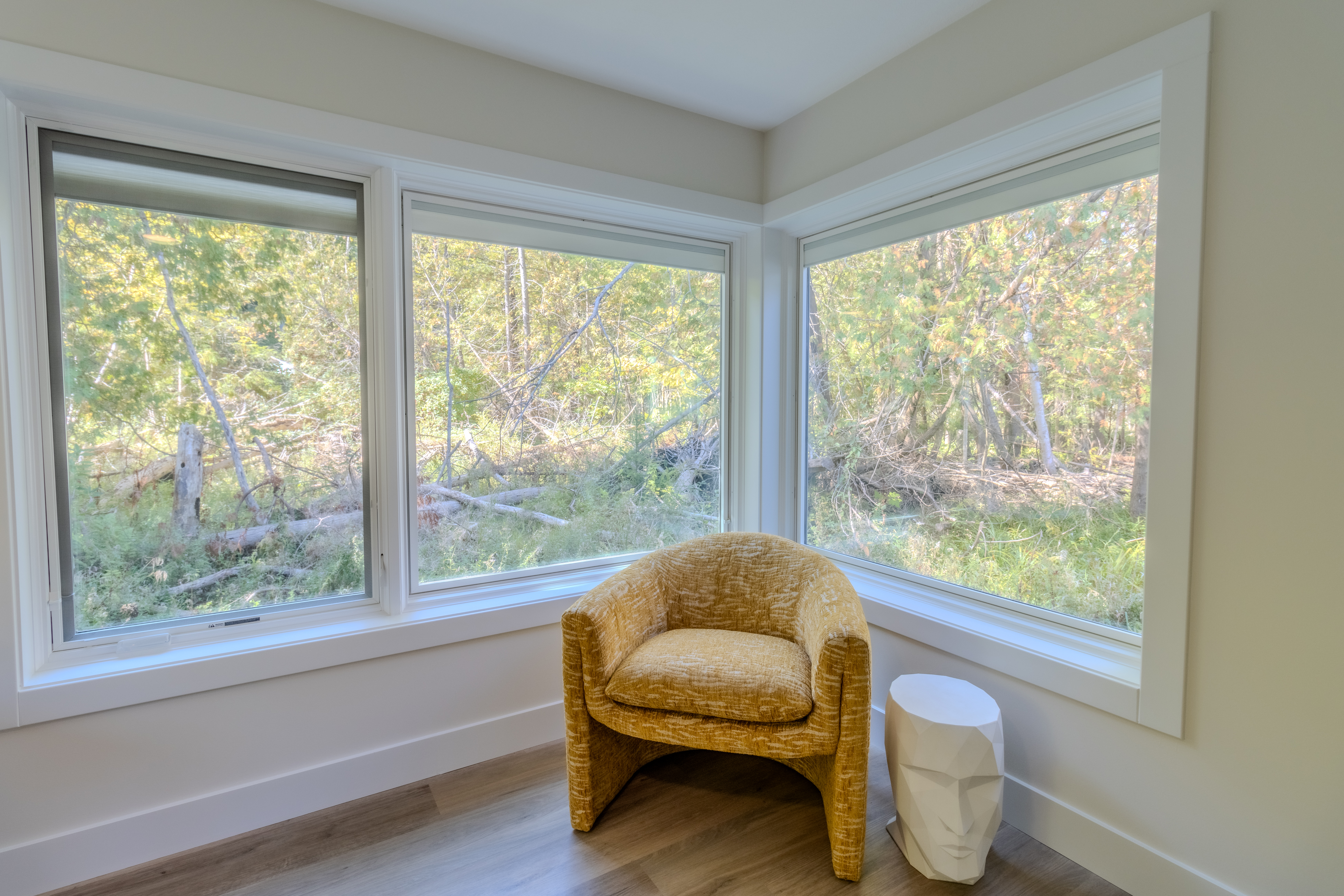 Stargazer | Photo 64