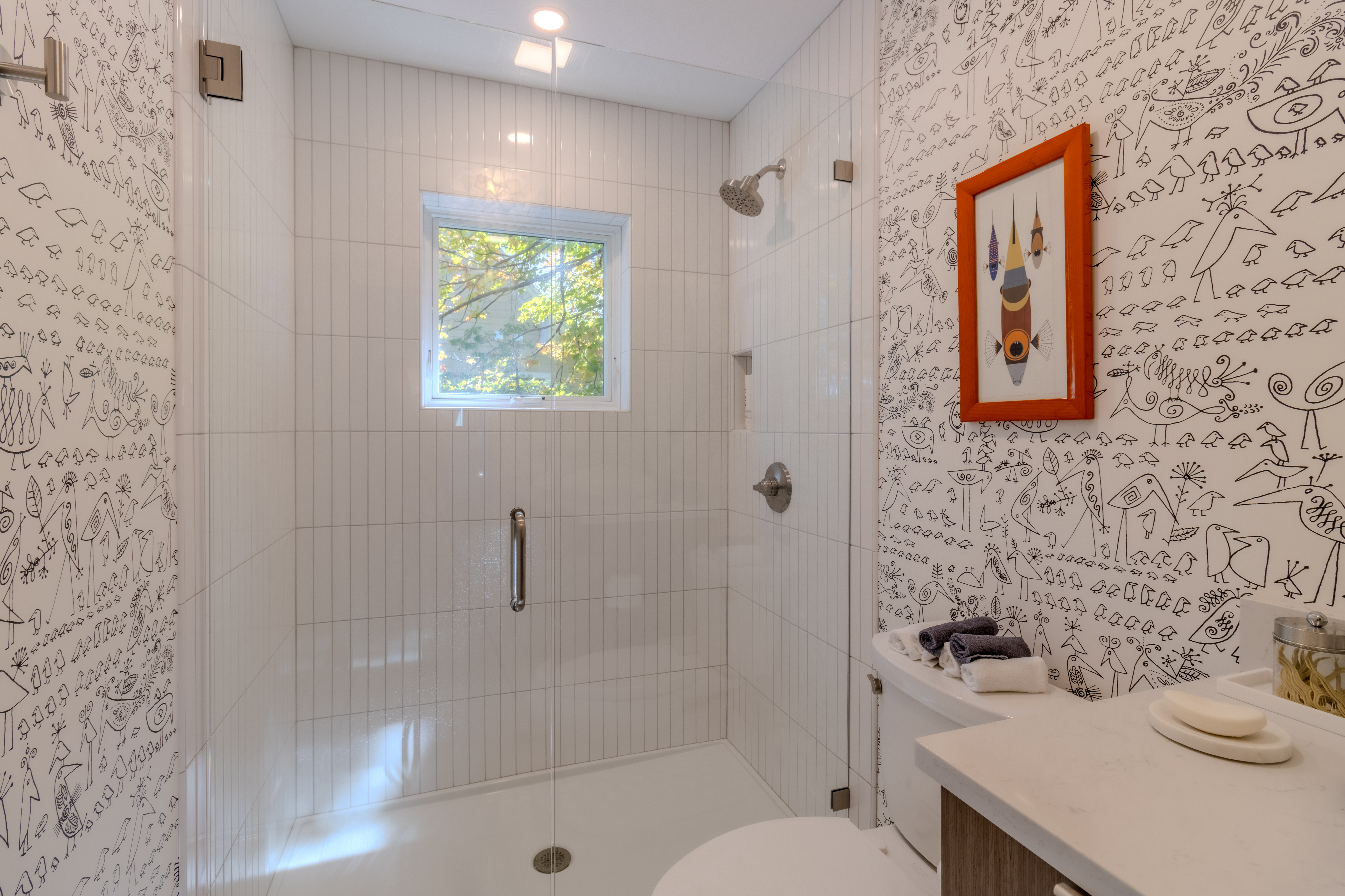 Stargazer | Photo 33