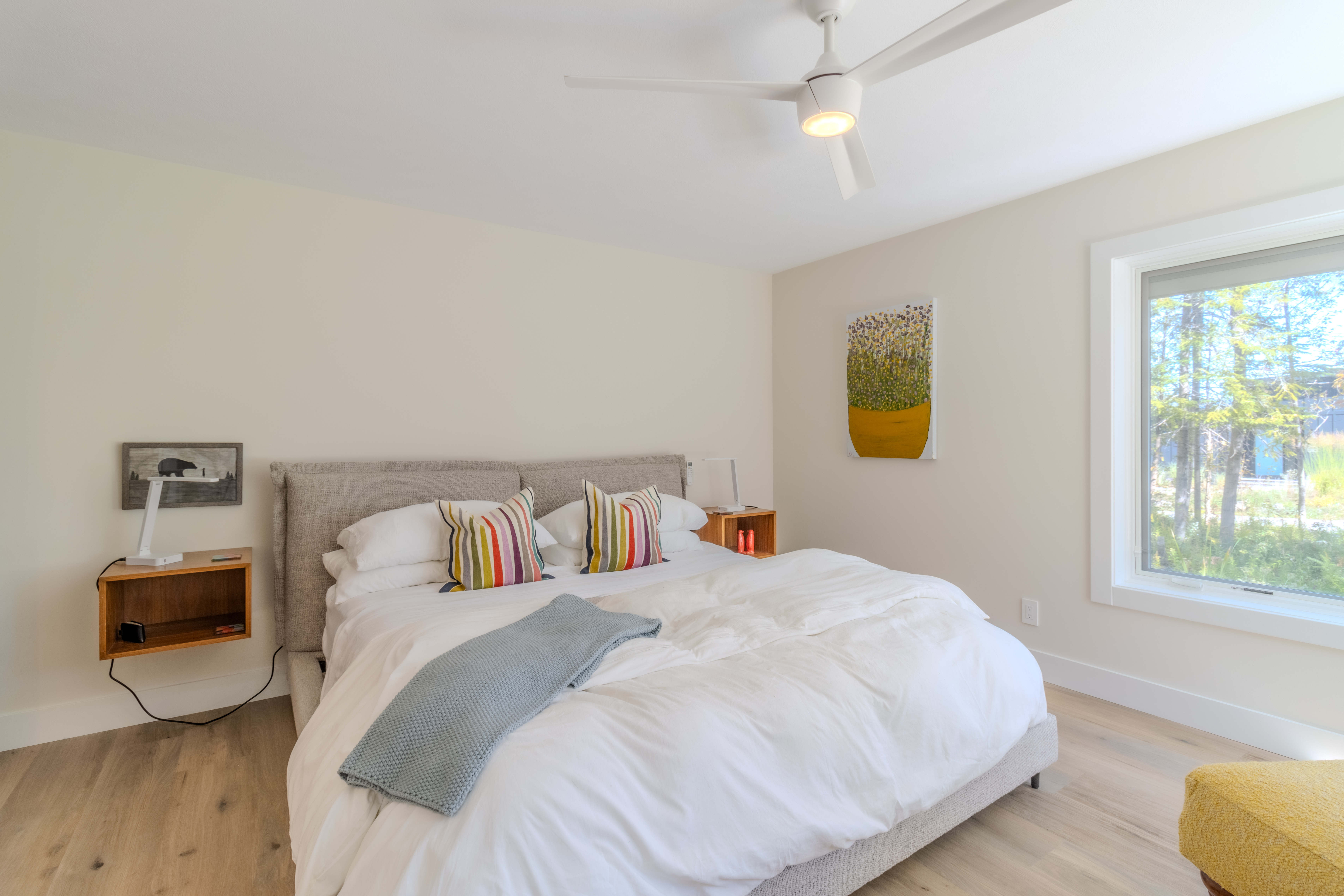 Stargazer | Photo 23