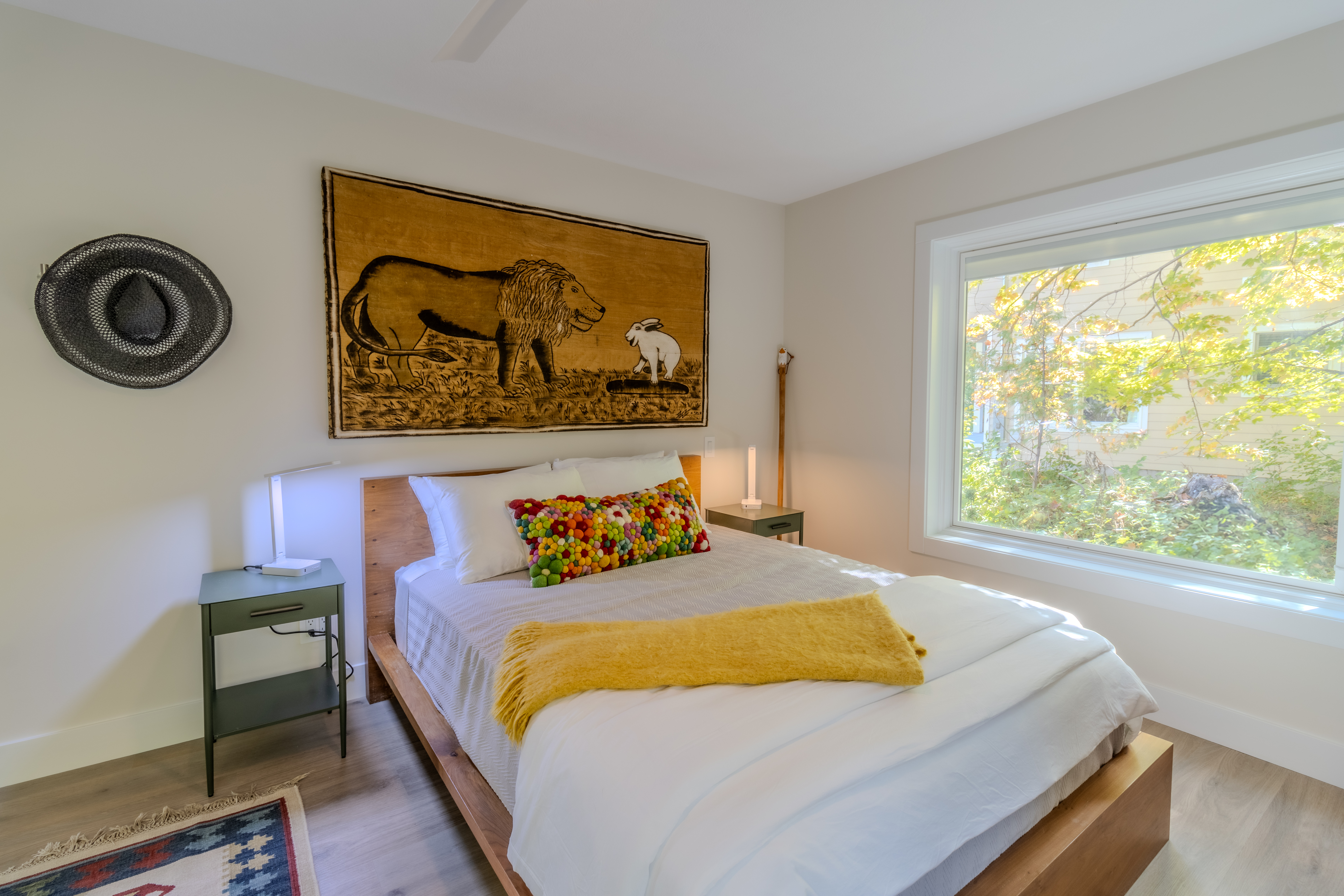 Stargazer | Photo 43