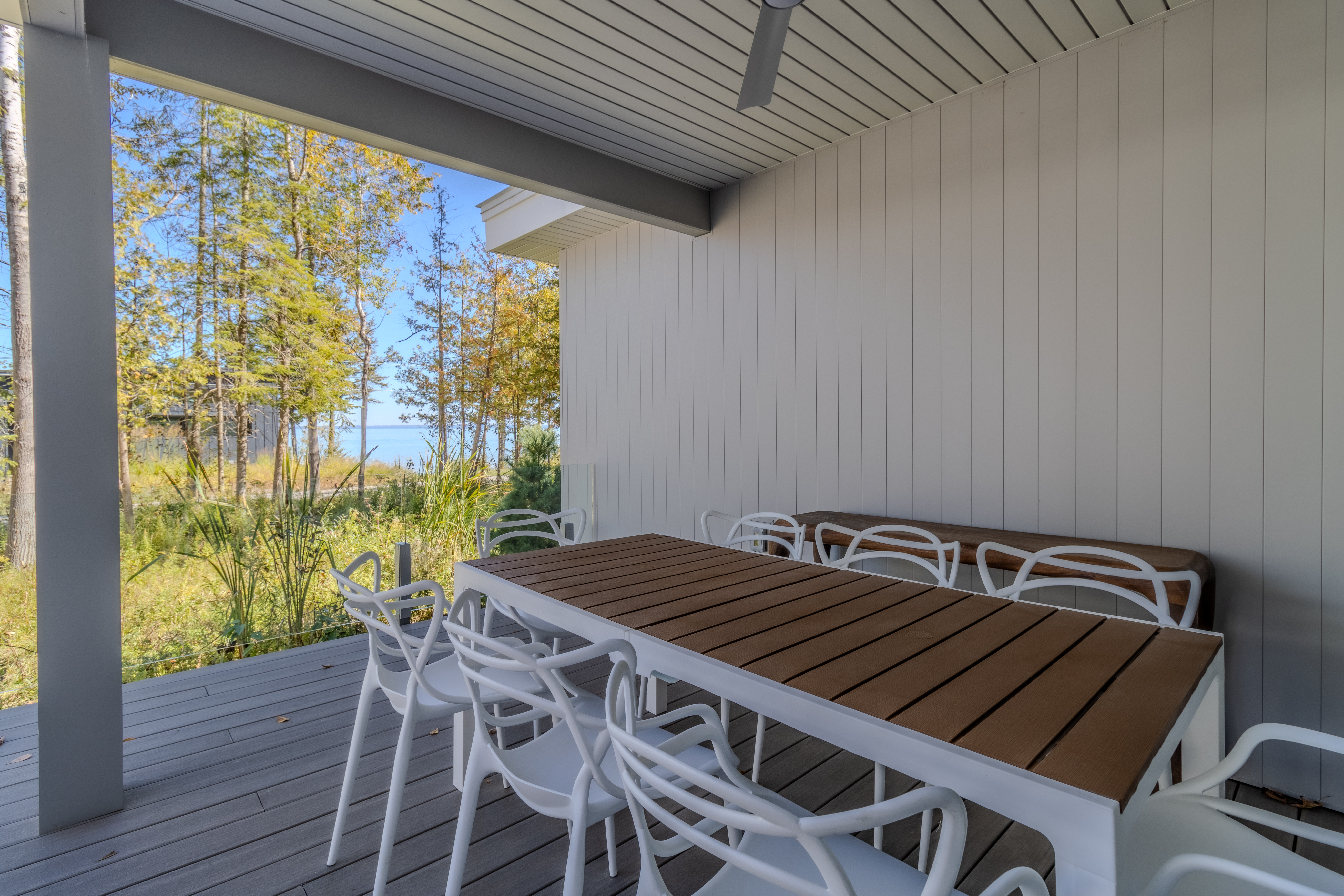 Stargazer | Photo 59