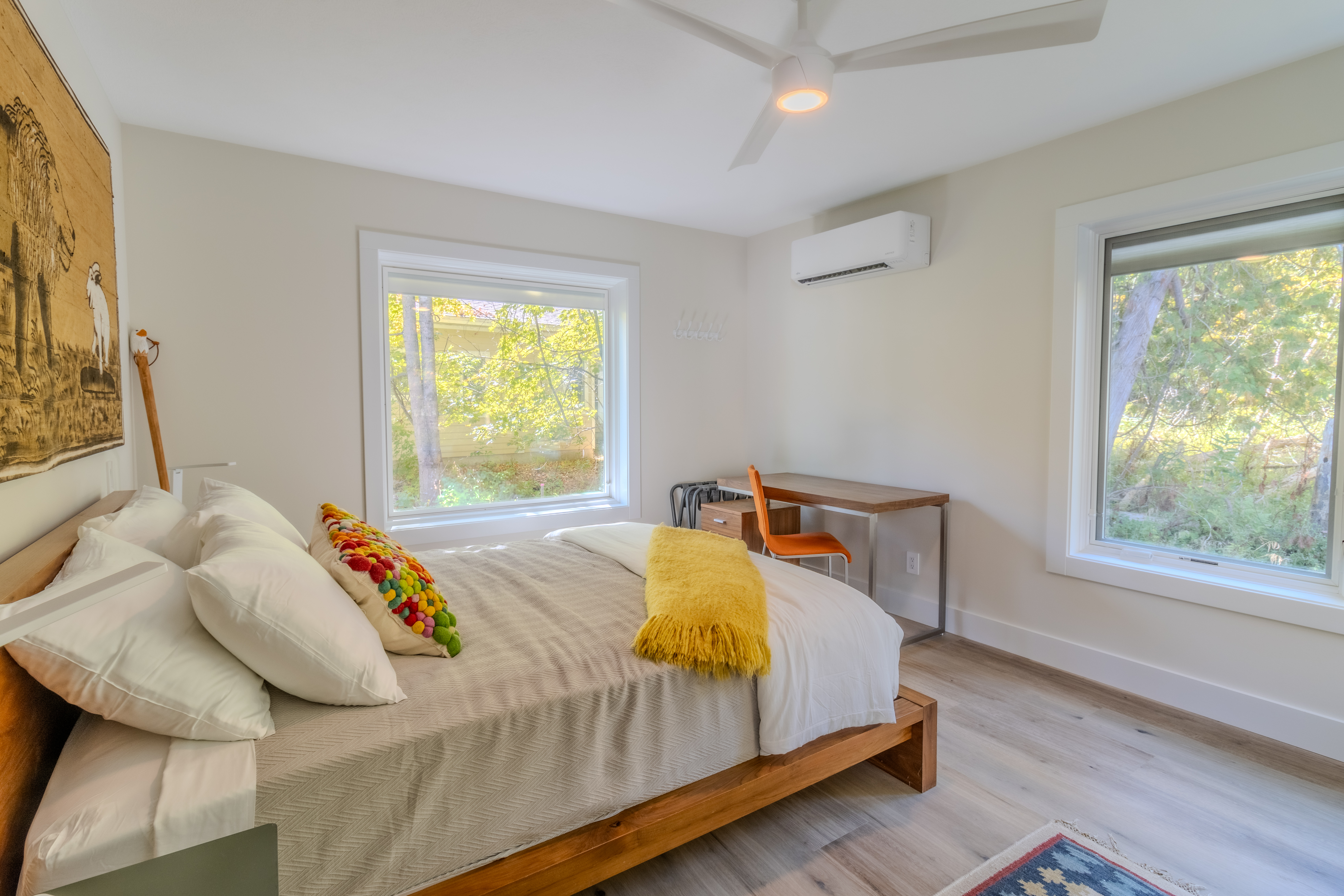 Stargazer | Photo 44