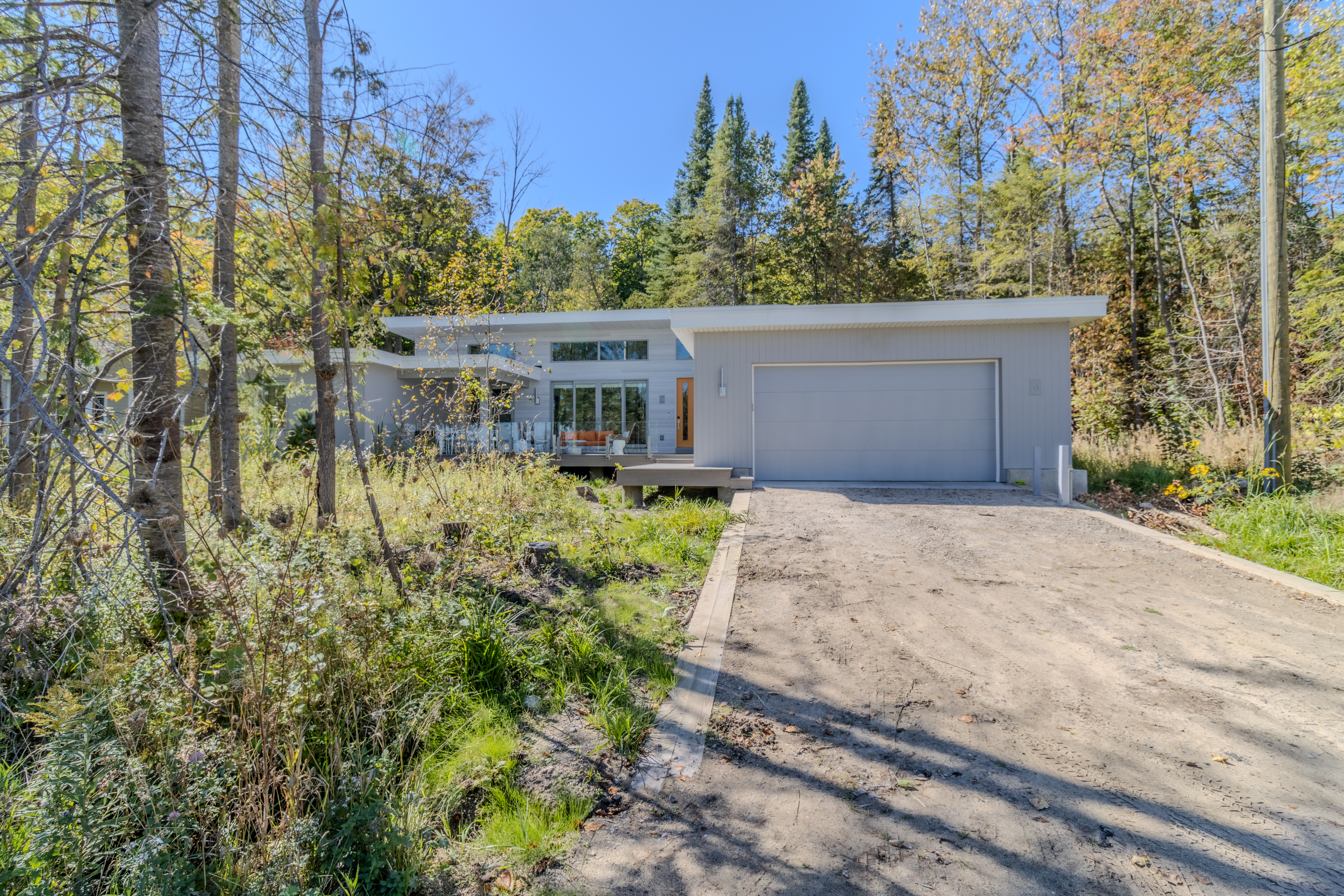 Stargazer | Photo 73