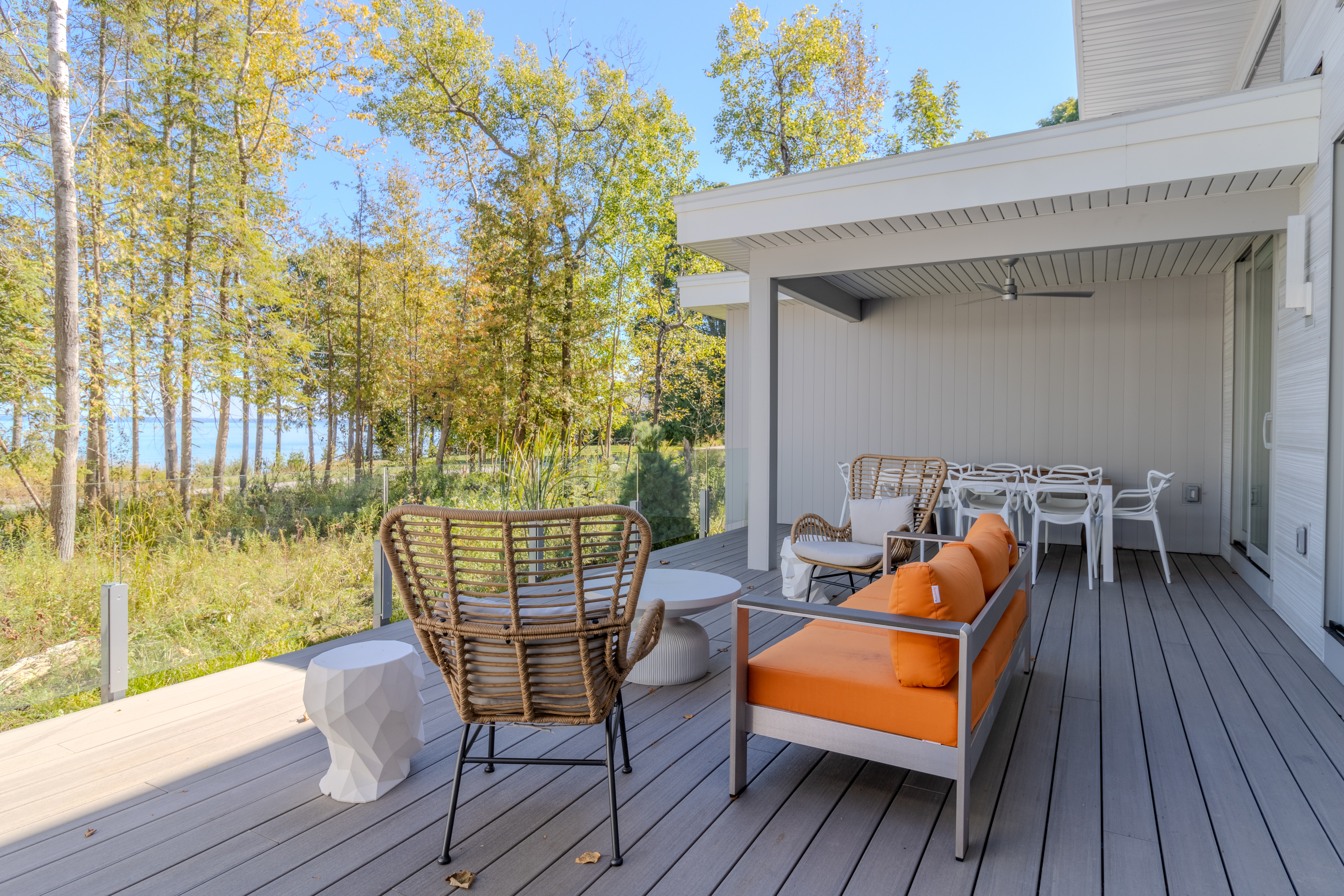 Stargazer | Photo 67