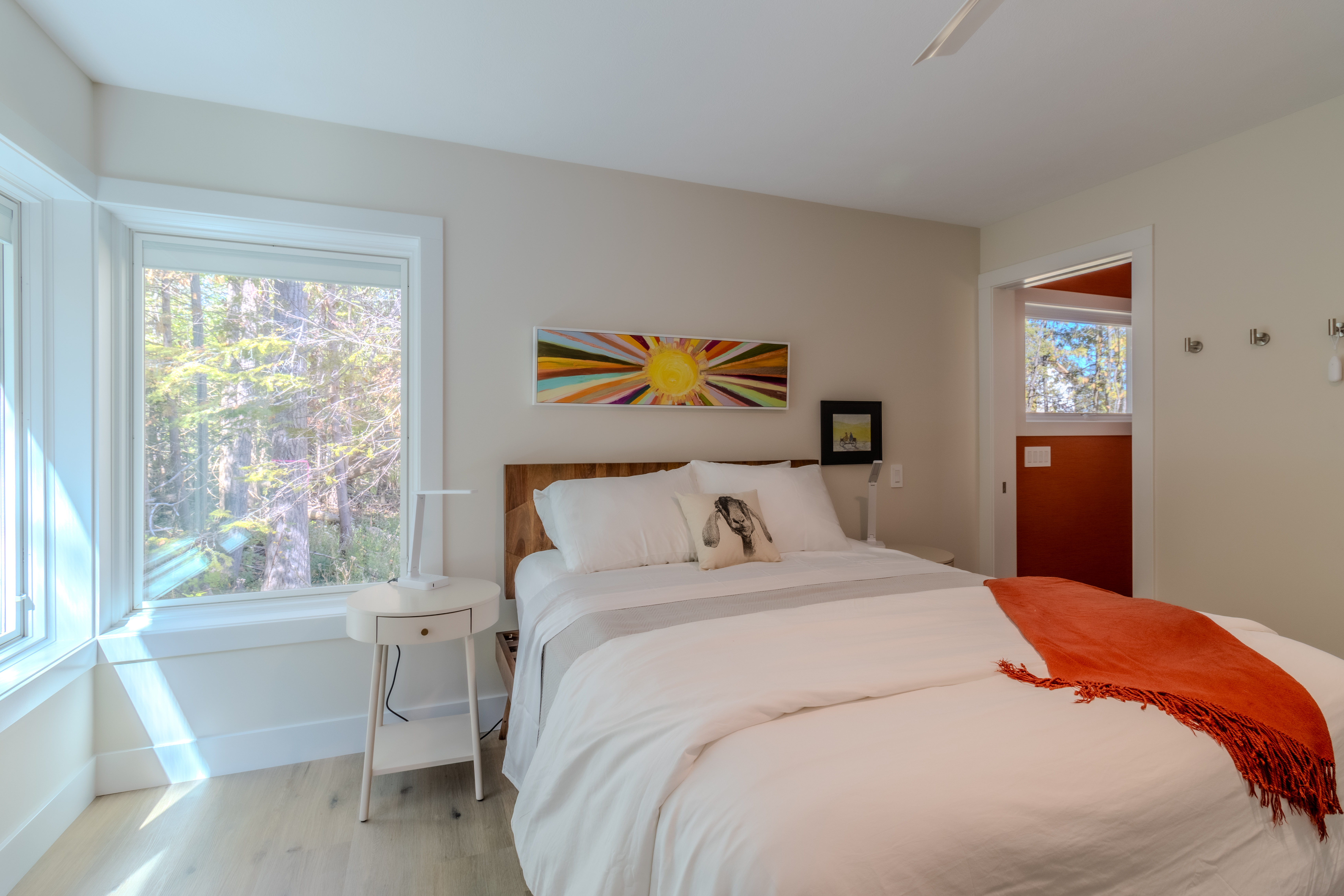 Stargazer | Photo 16