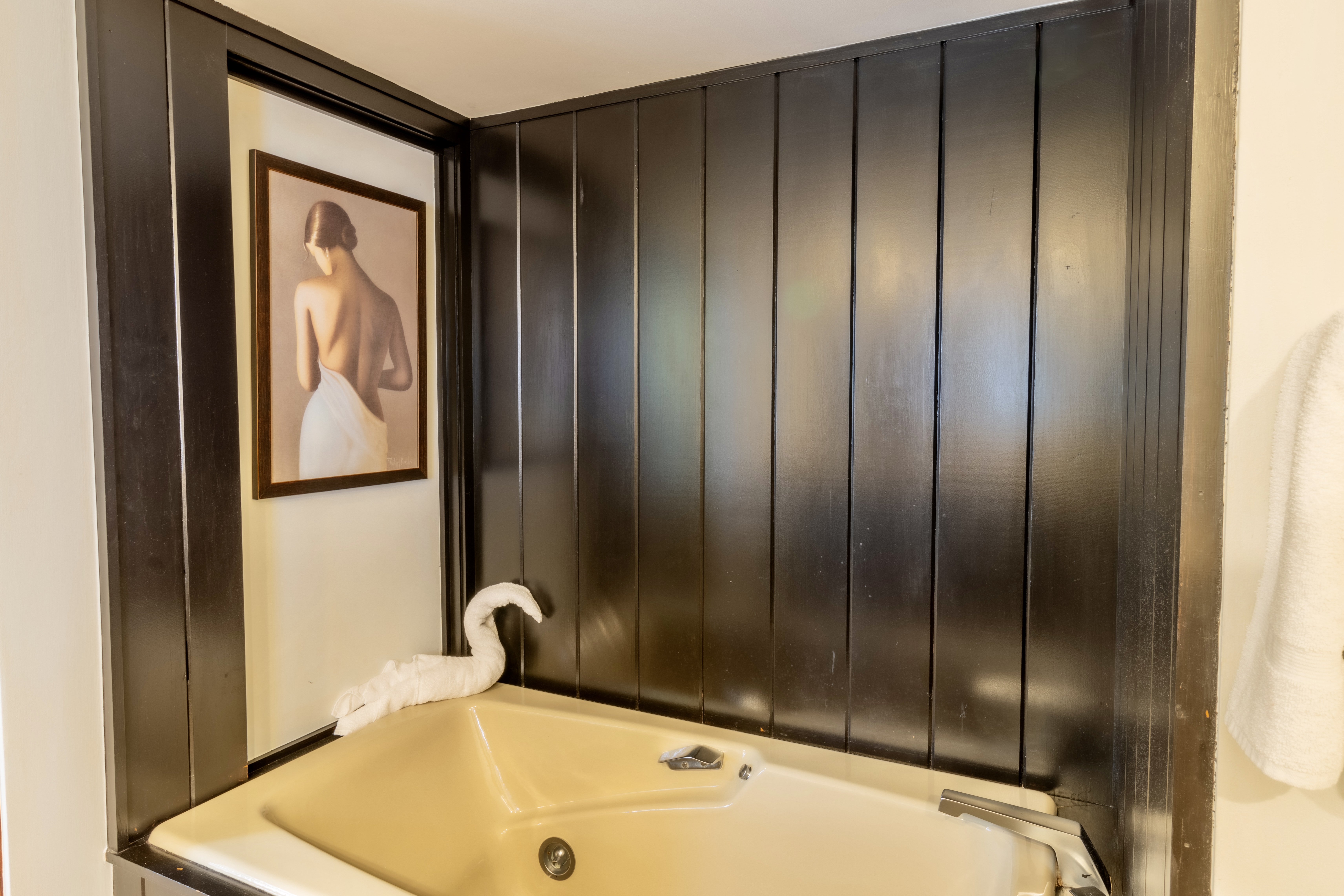 Splendor on Suttons Bay | Photo 90