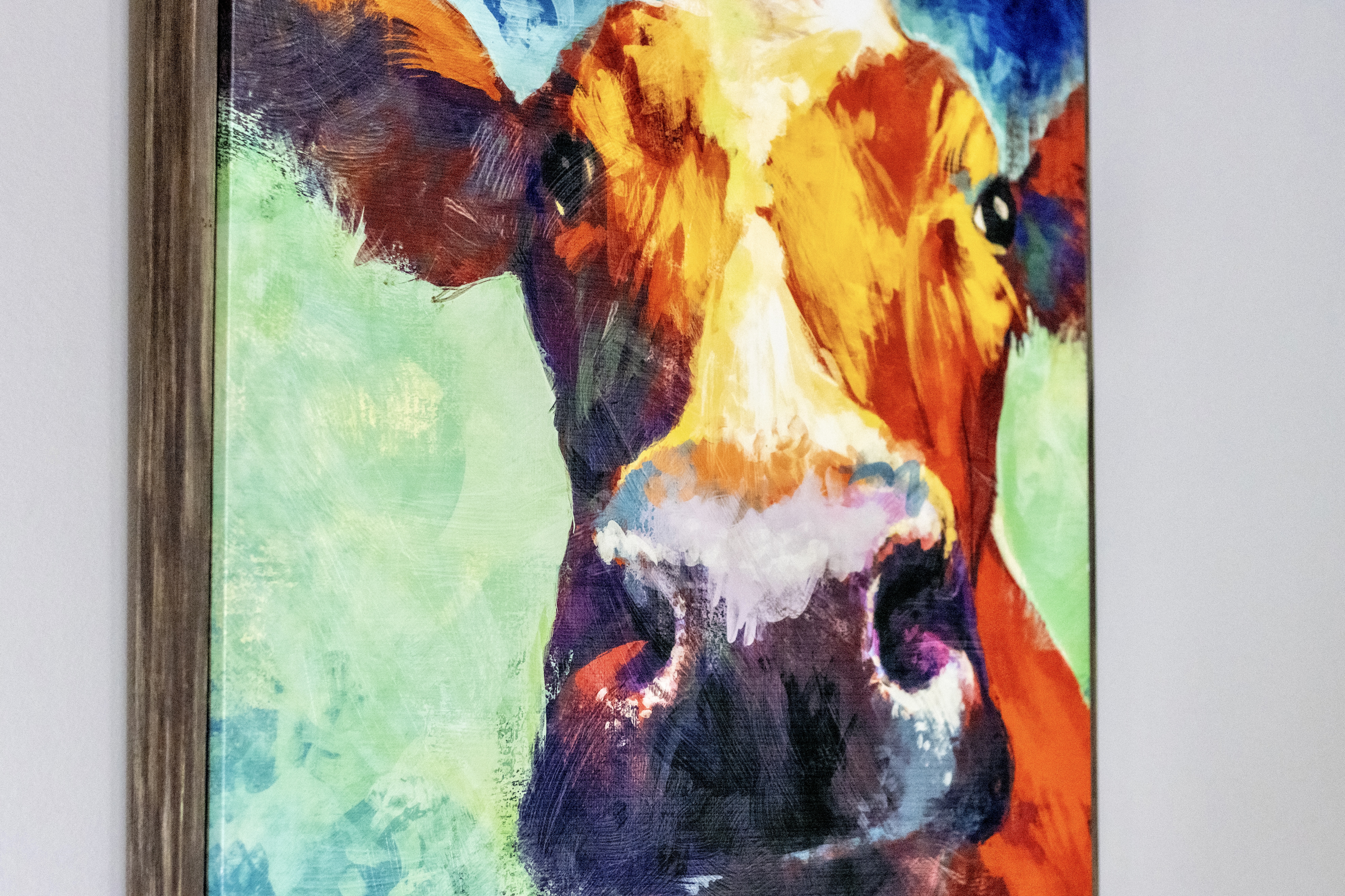 Splendor on Suttons Bay | Photo 115