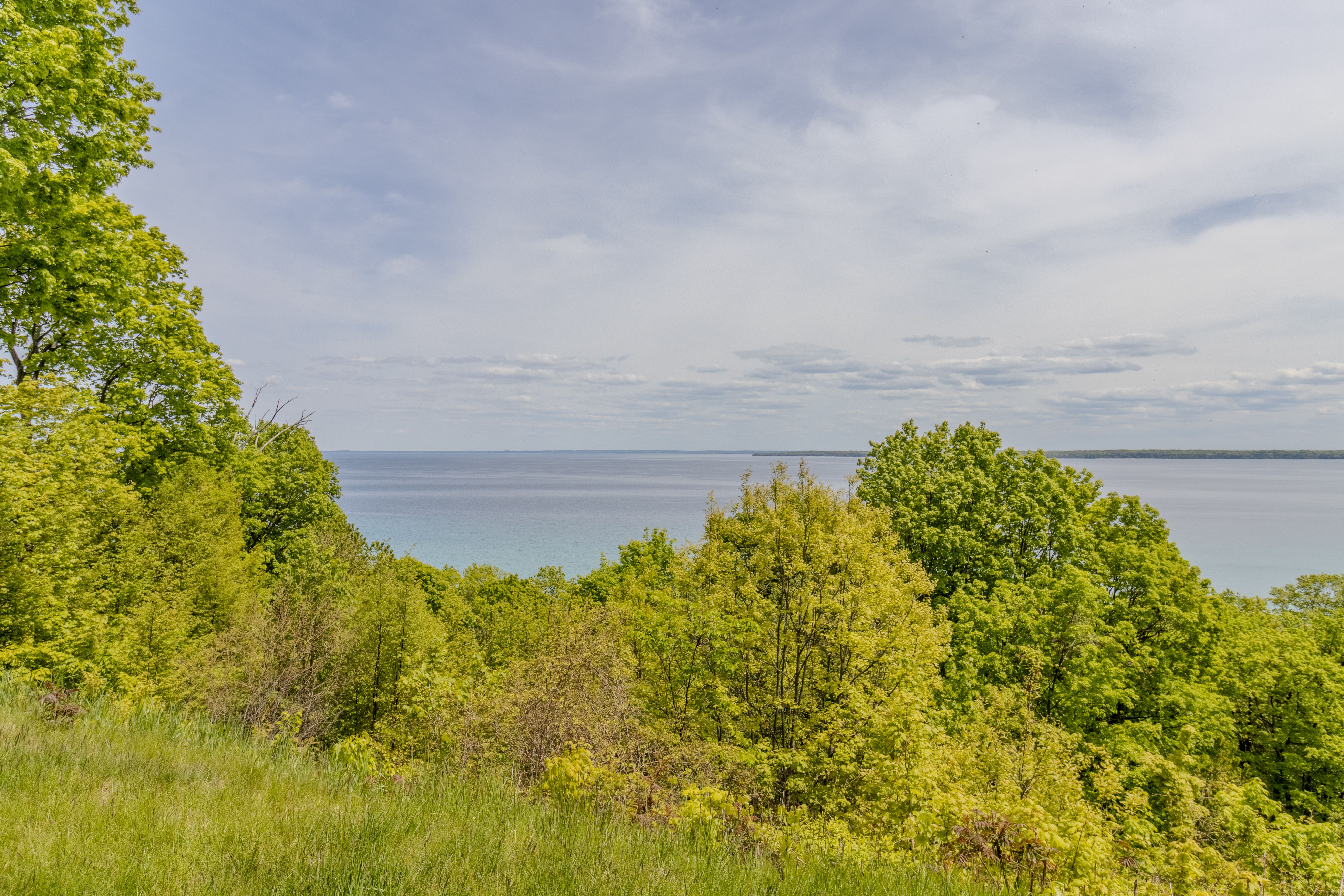 Violet's View | Photo 85